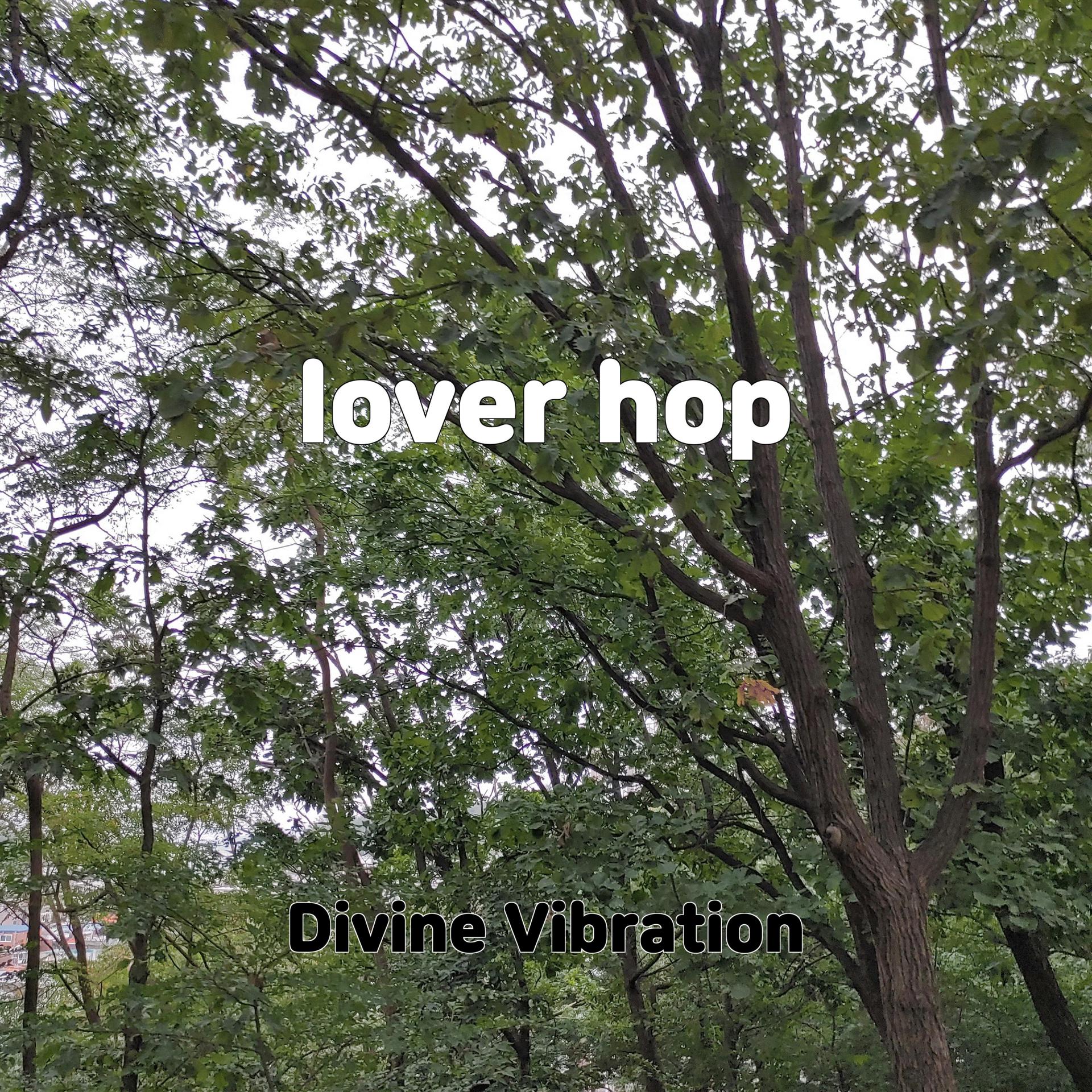 Постер альбома lover hop