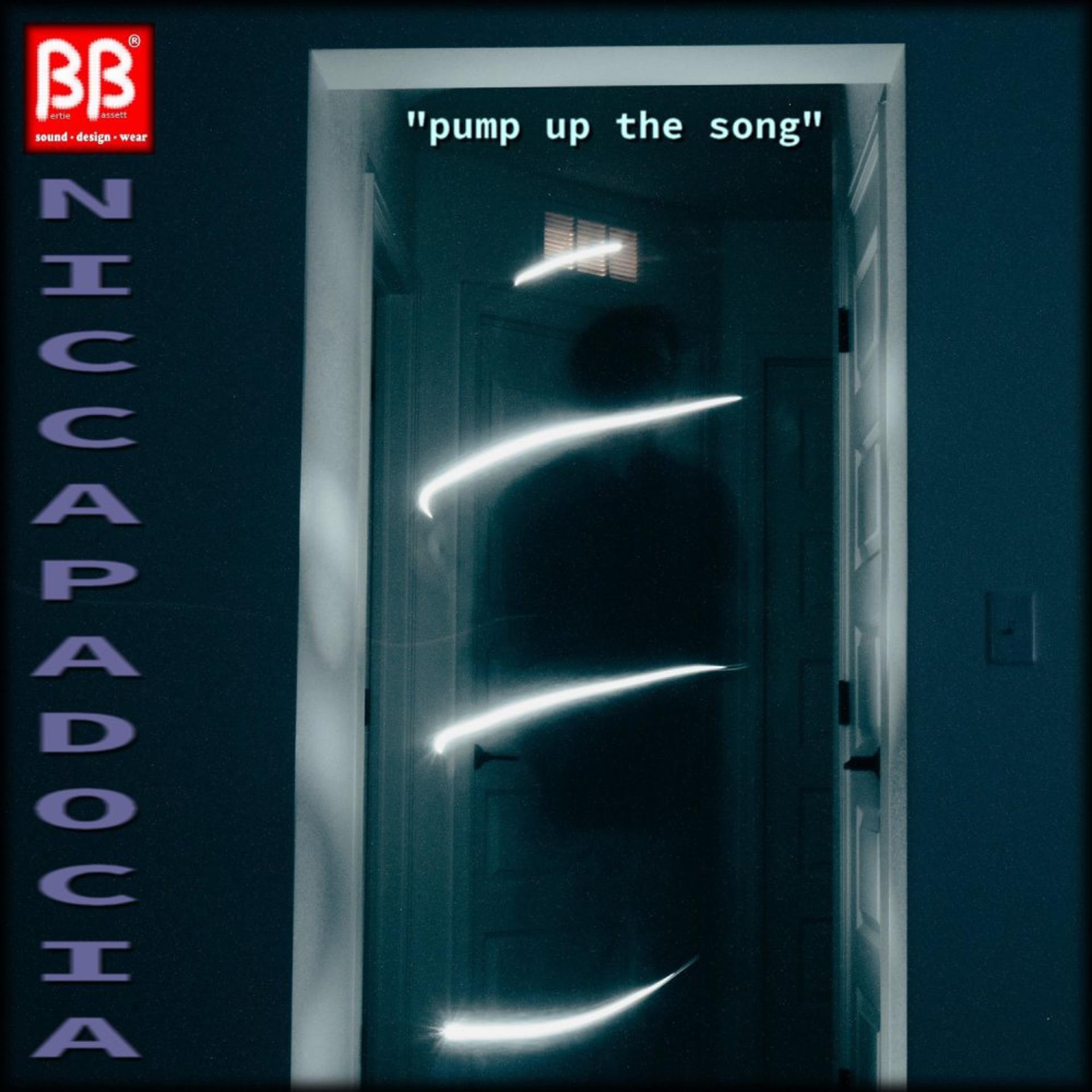 Постер альбома Pump Up The Song