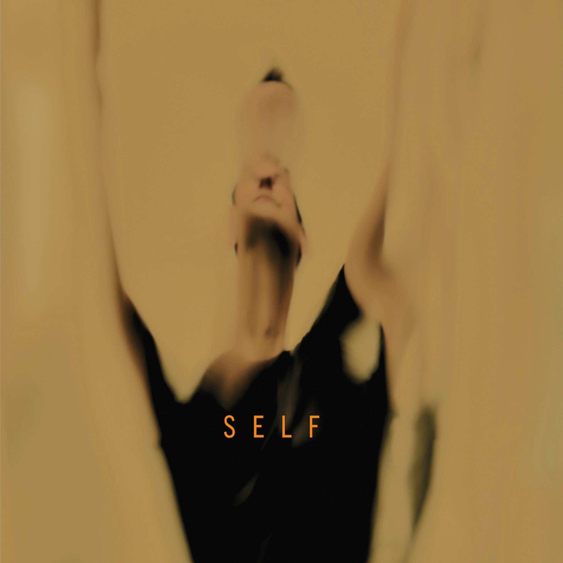 Постер альбома Self