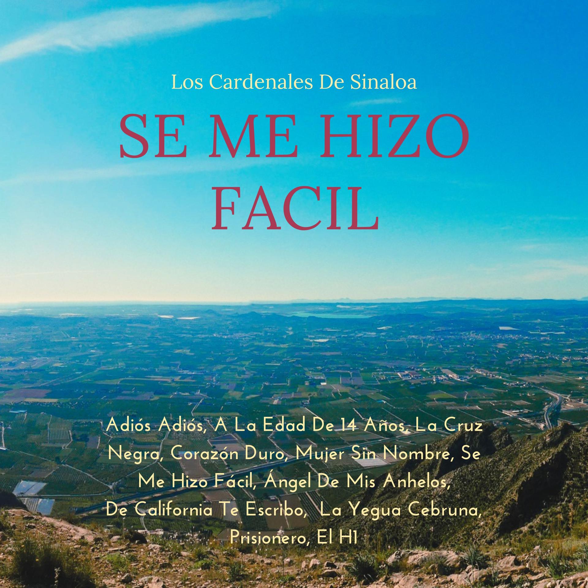 Постер альбома Se Me Hizo Fácil