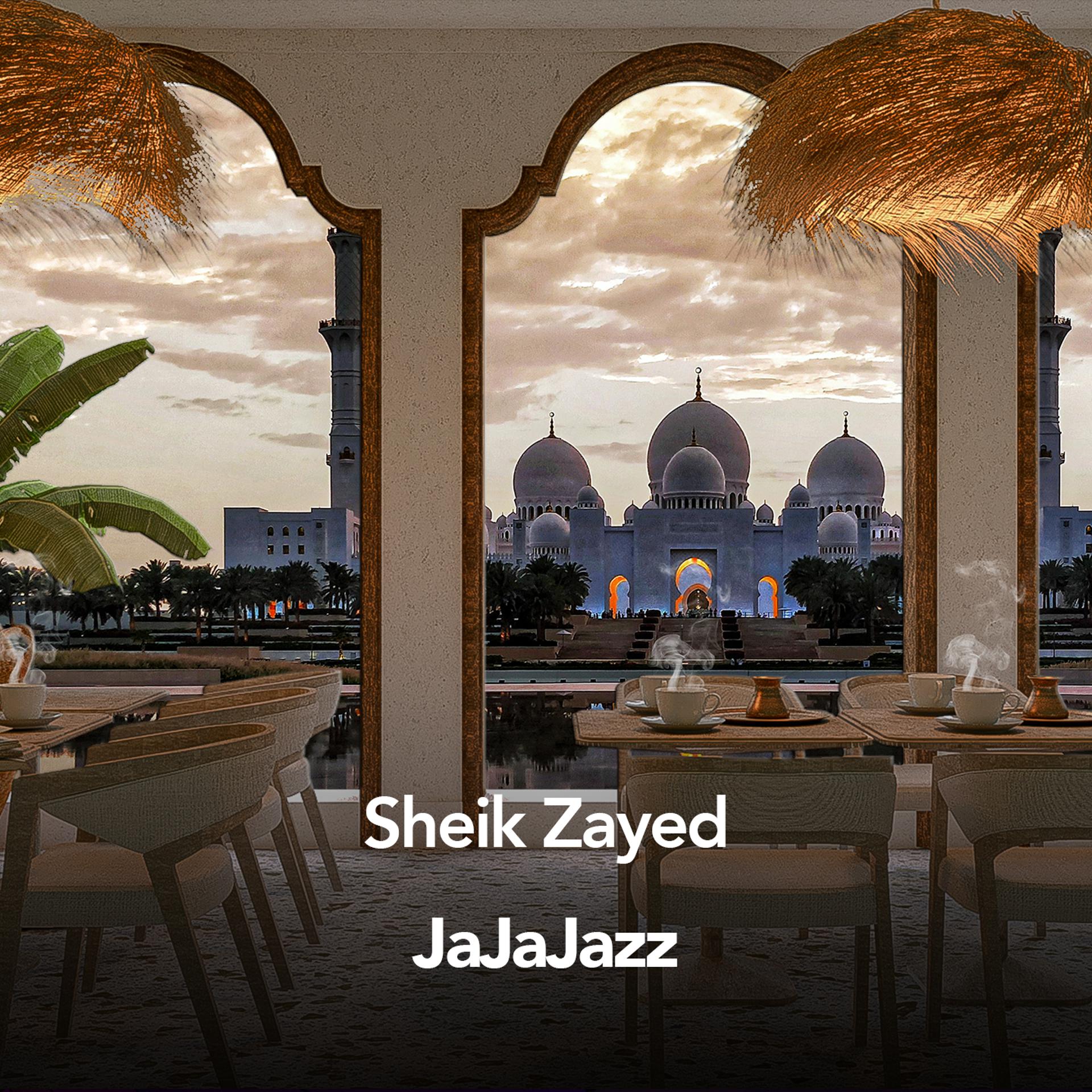 Постер альбома Sheik Zayed