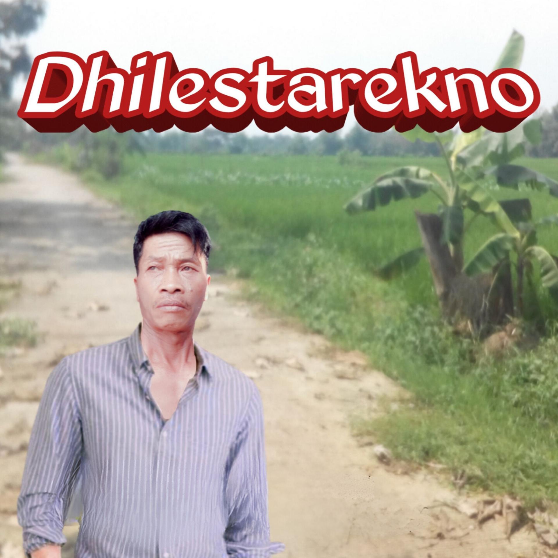 Постер альбома Dhilestarekno