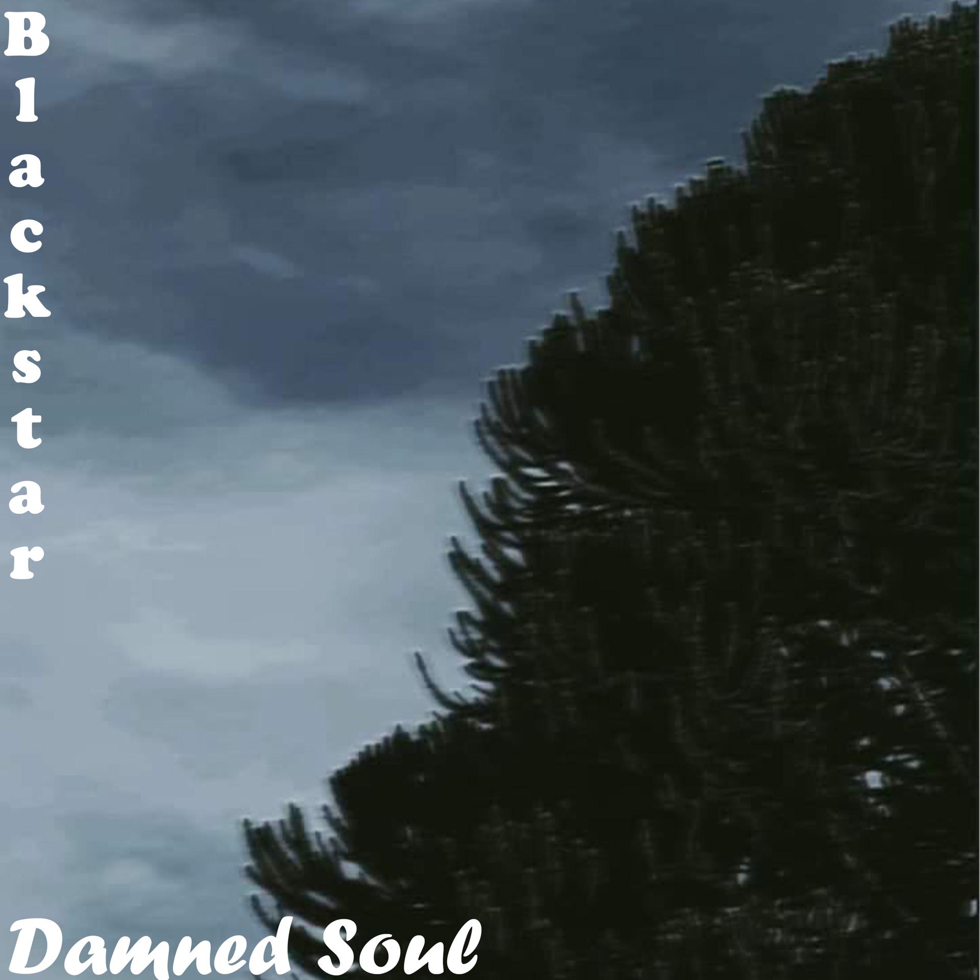 Постер альбома Damned Soul