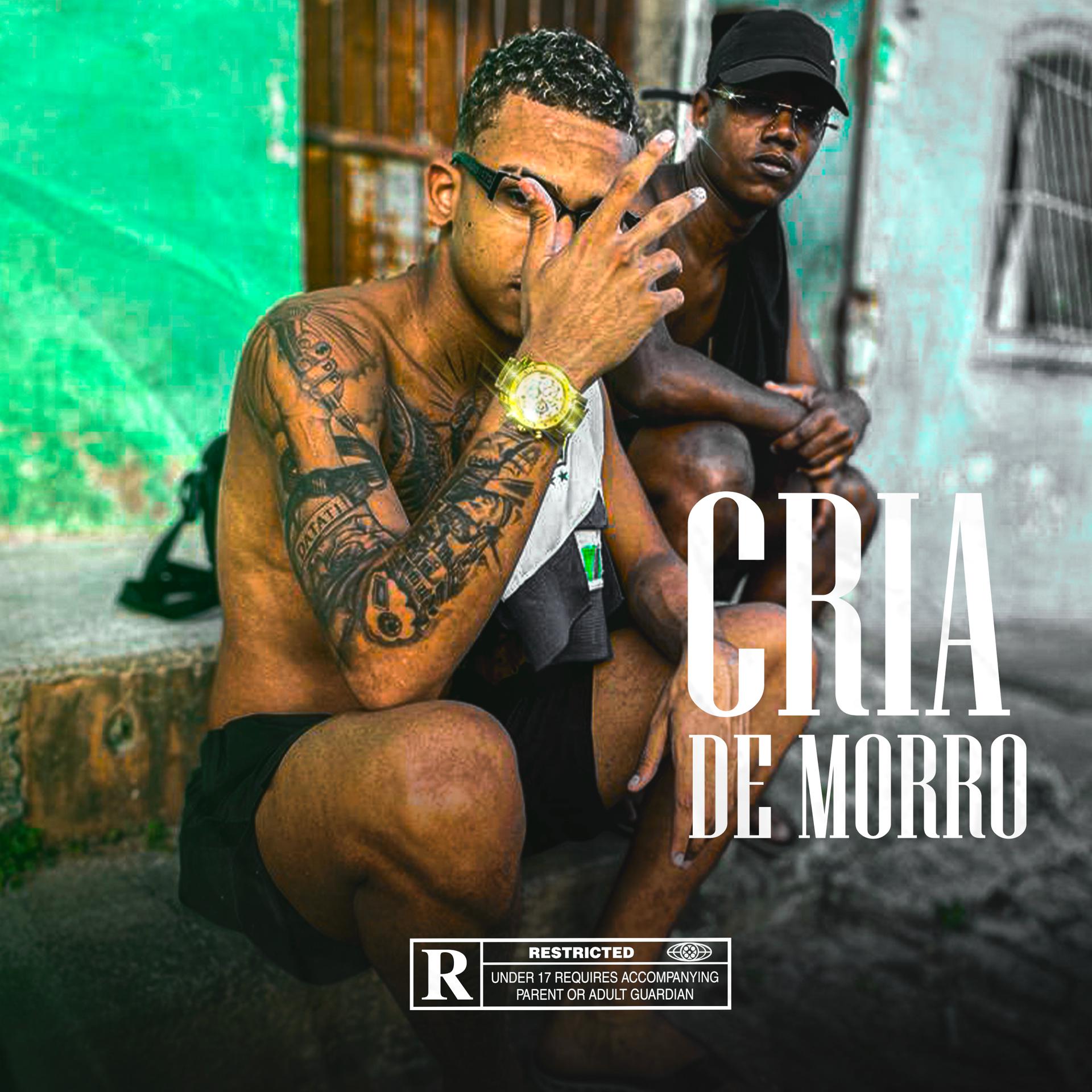 Постер альбома Cria de Morro