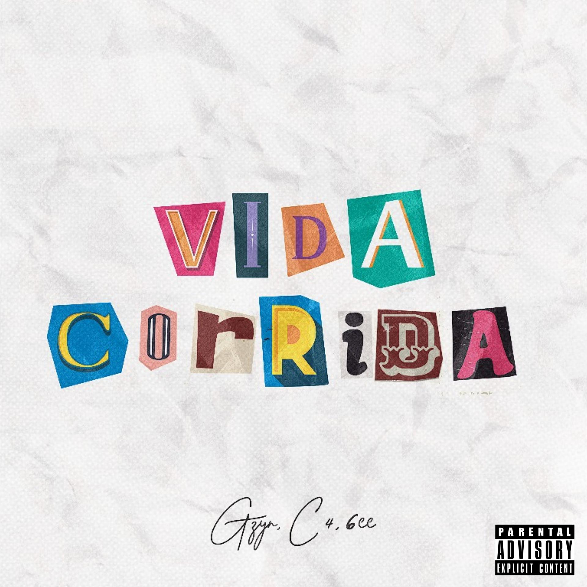 Постер альбома Vida Corrida