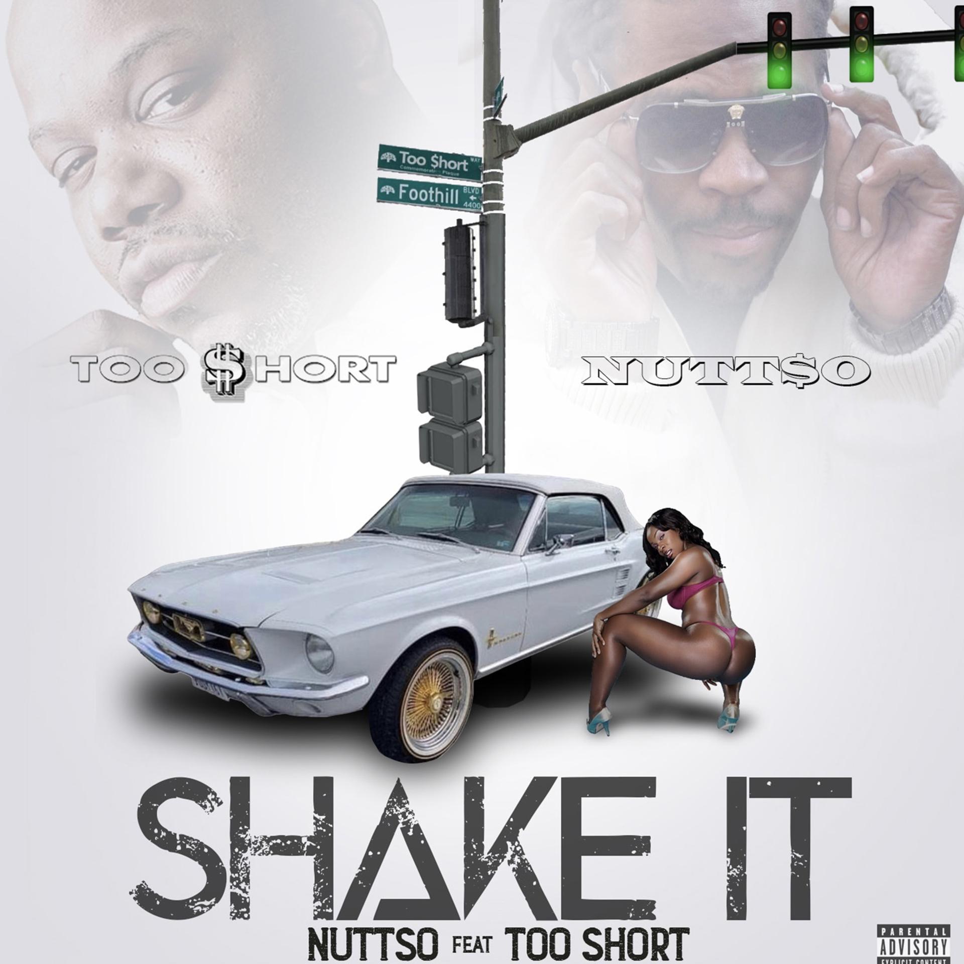 Постер альбома Shake it (feat. Too $hort)