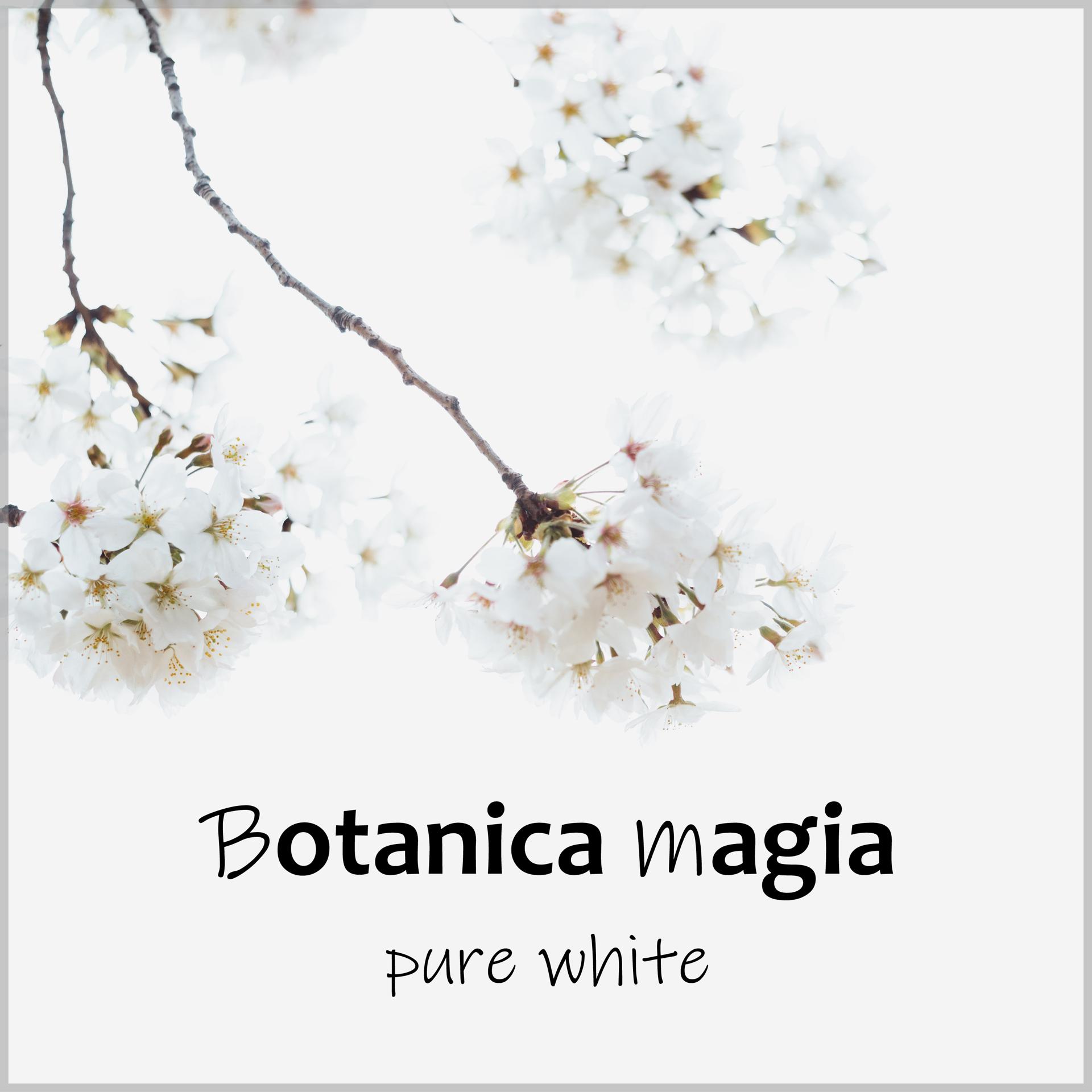 Постер альбома Pure White