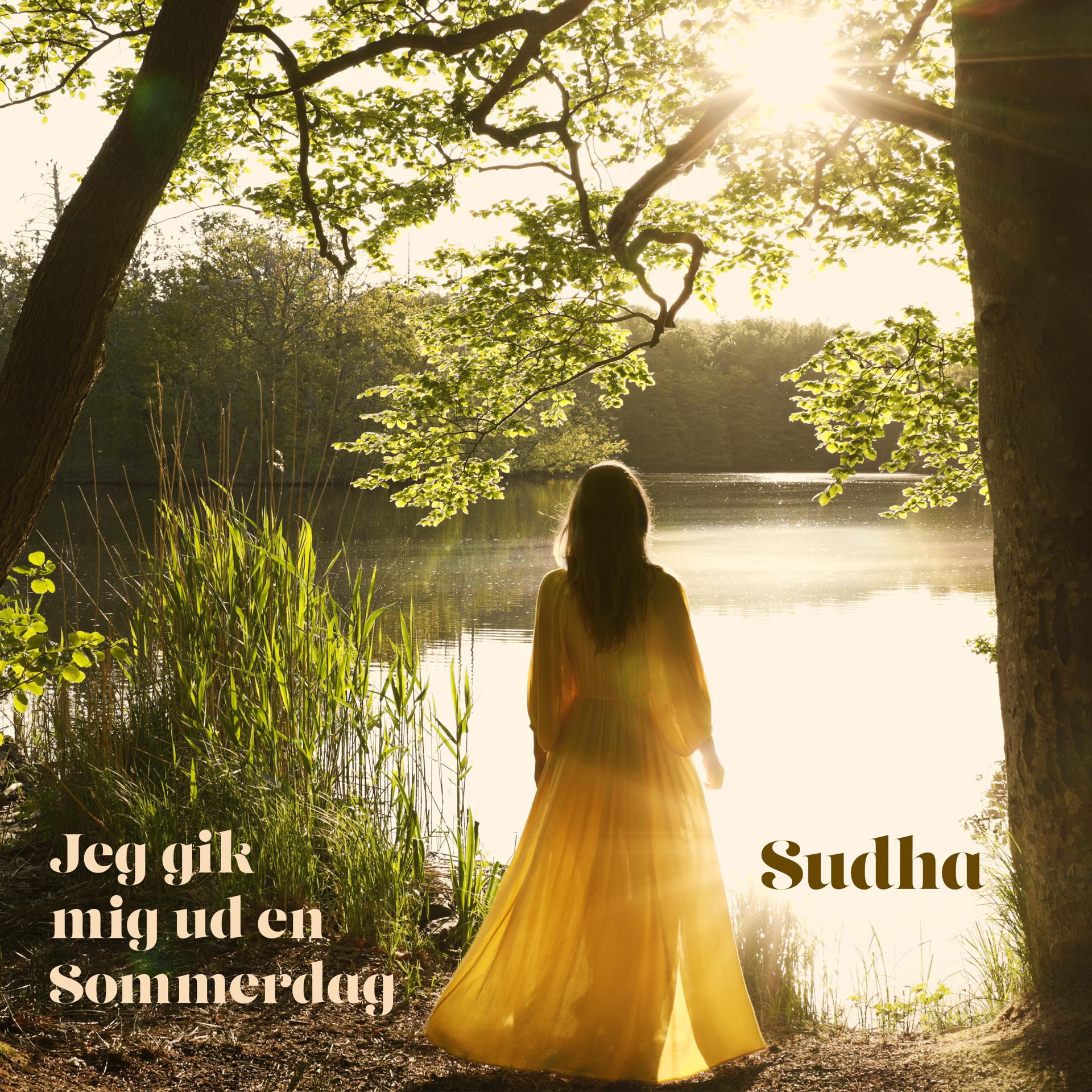 Постер альбома Jeg Gik Mig Ud En Sommerdag
