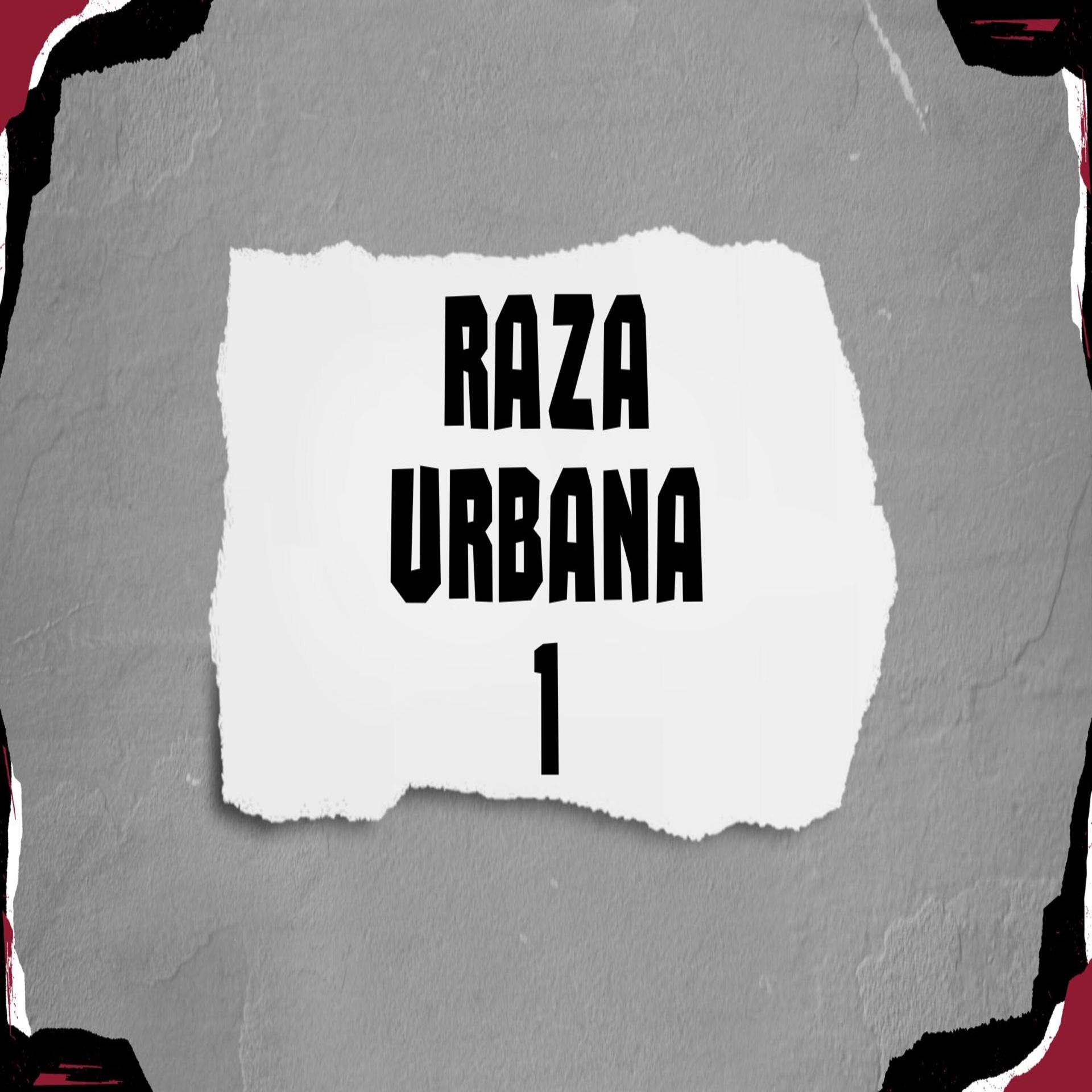 Постер альбома Raza Urbana 1
