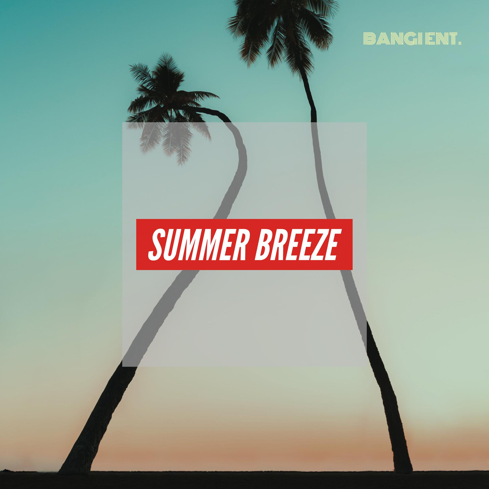 Постер альбома Summer Breeze
