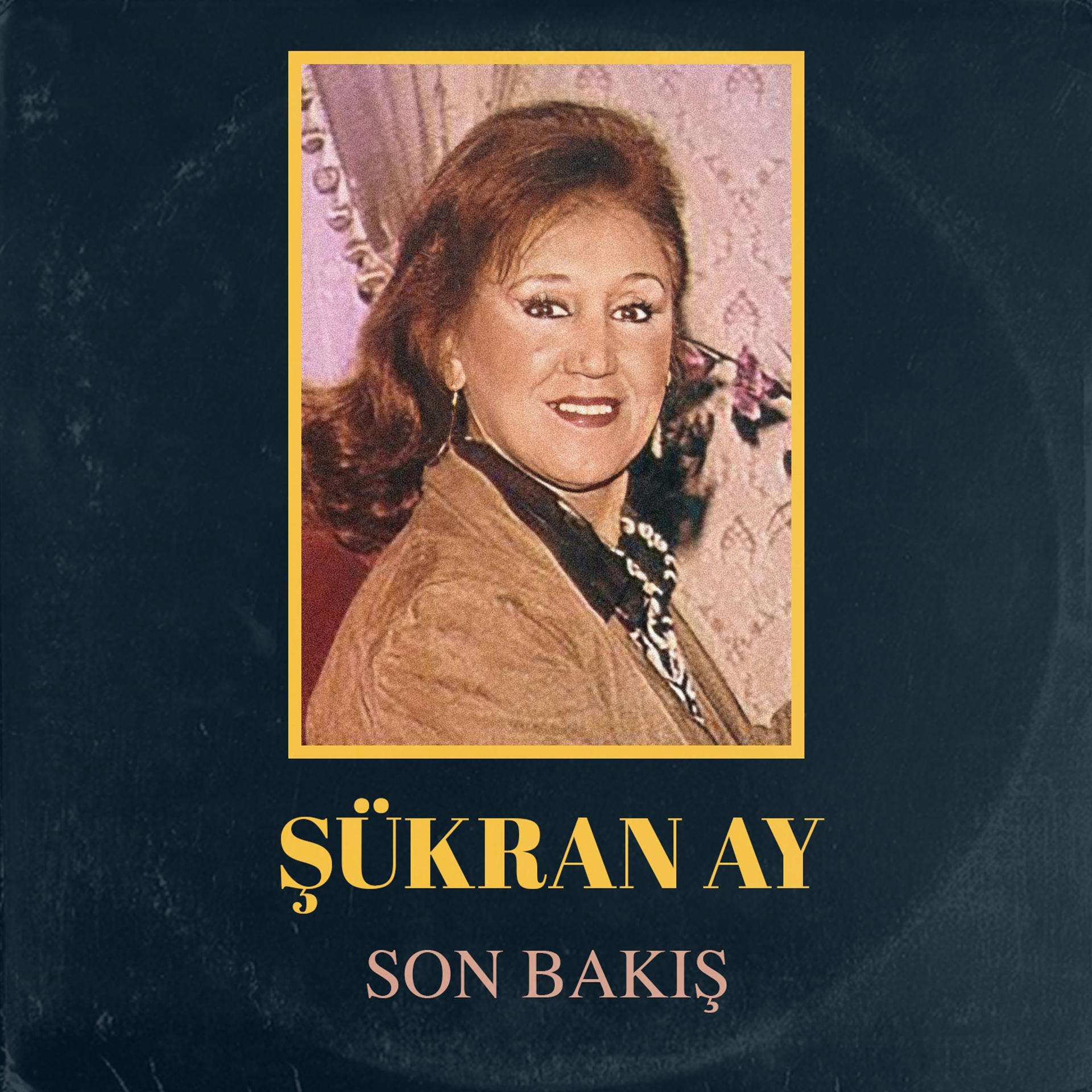 Постер альбома Son Bakış