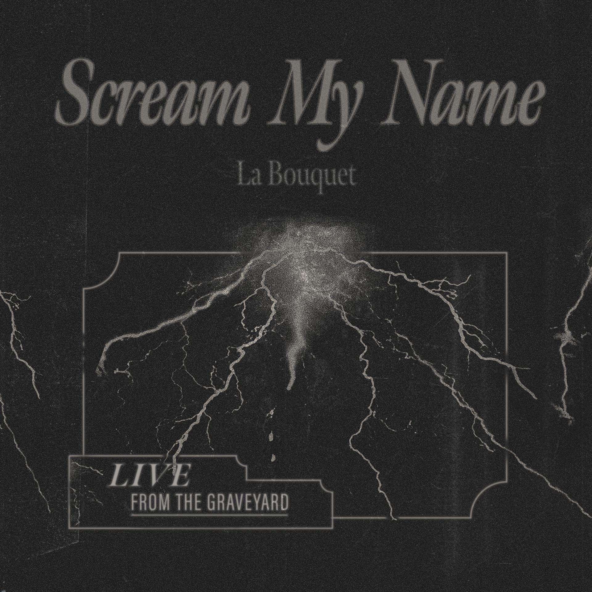 Постер альбома Scream My Name