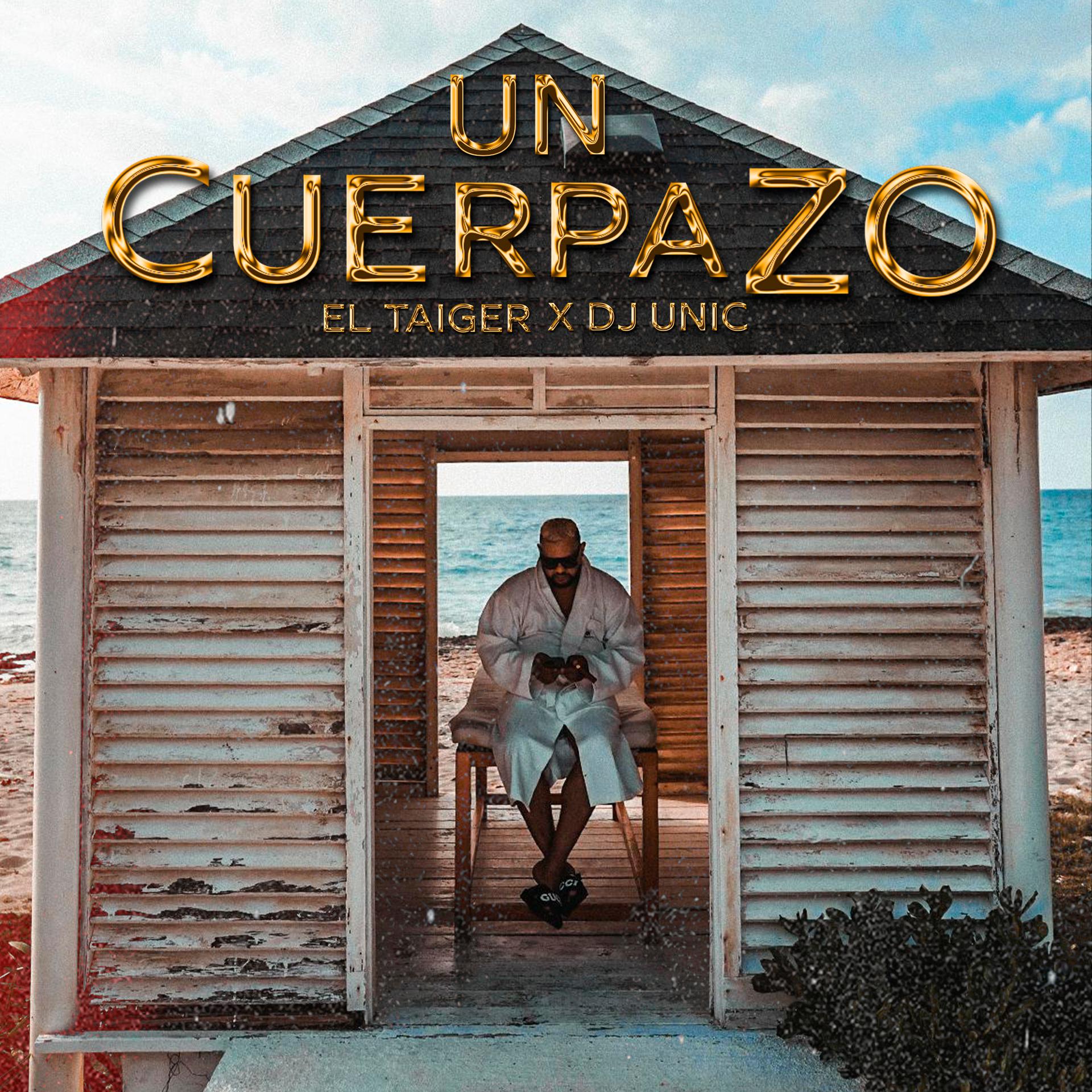 Постер альбома Un Cuerpazo