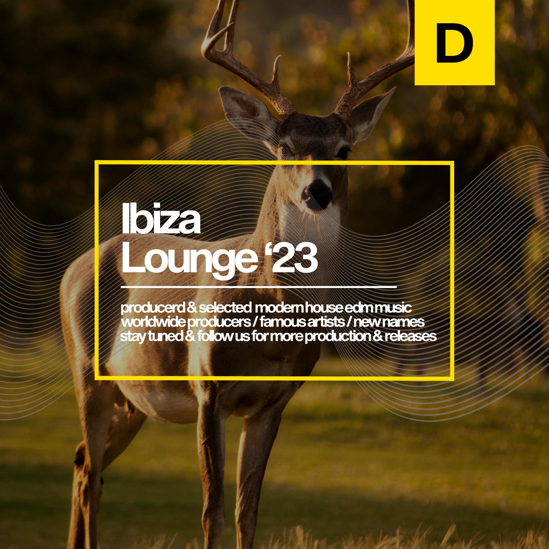 Постер альбома Ibiza Lounge 2023