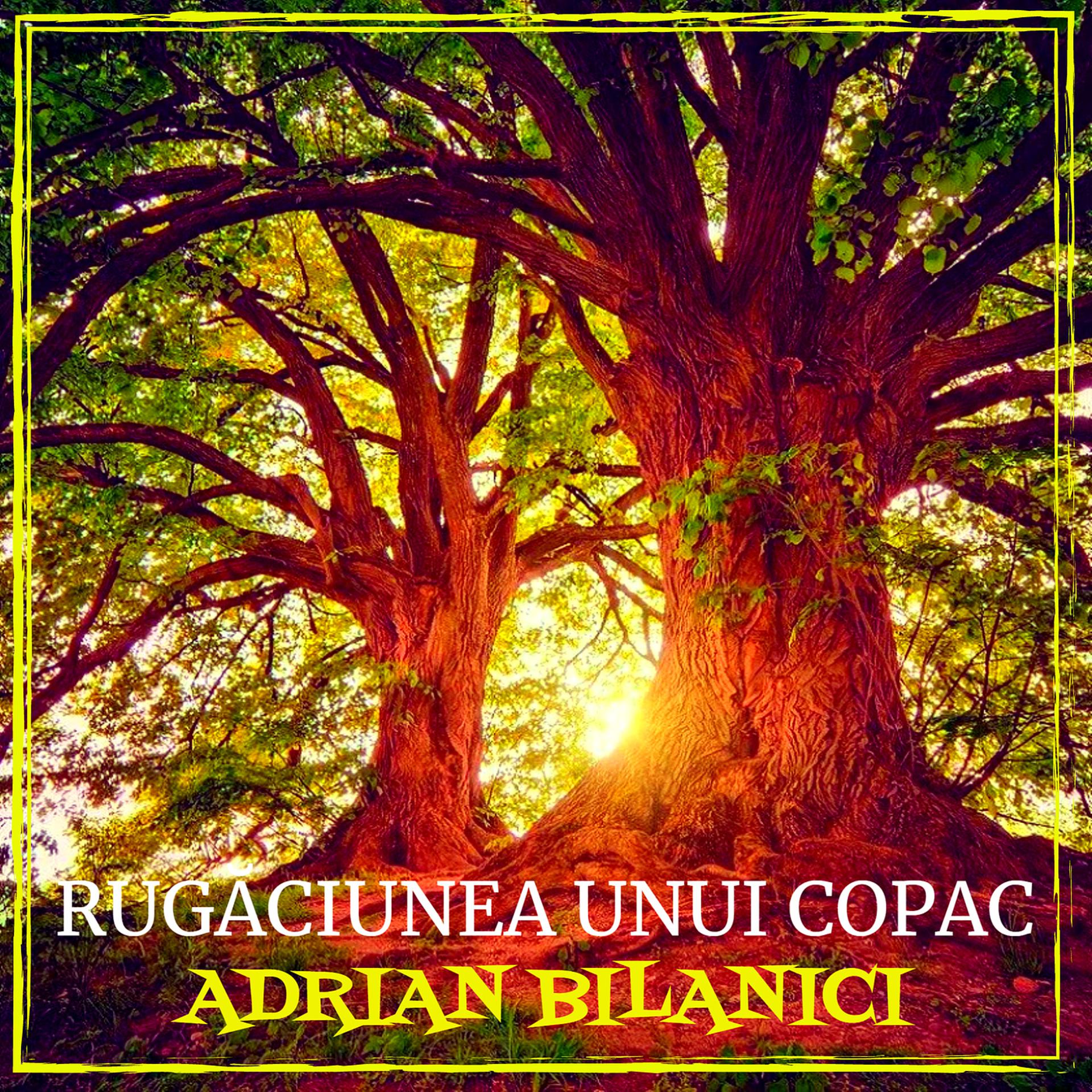 Постер альбома Rugăciunea Unui Copac