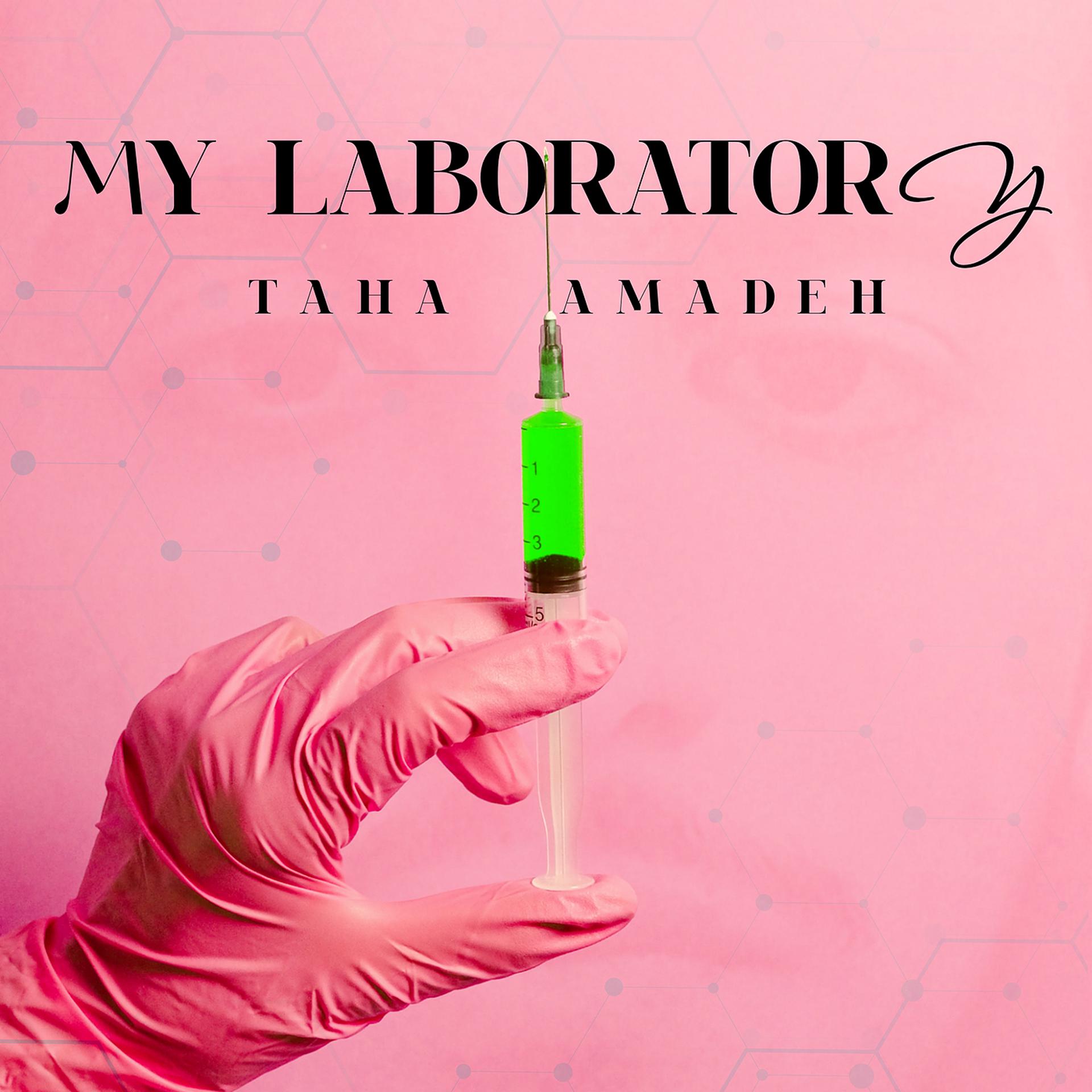 Постер альбома My Laboratory