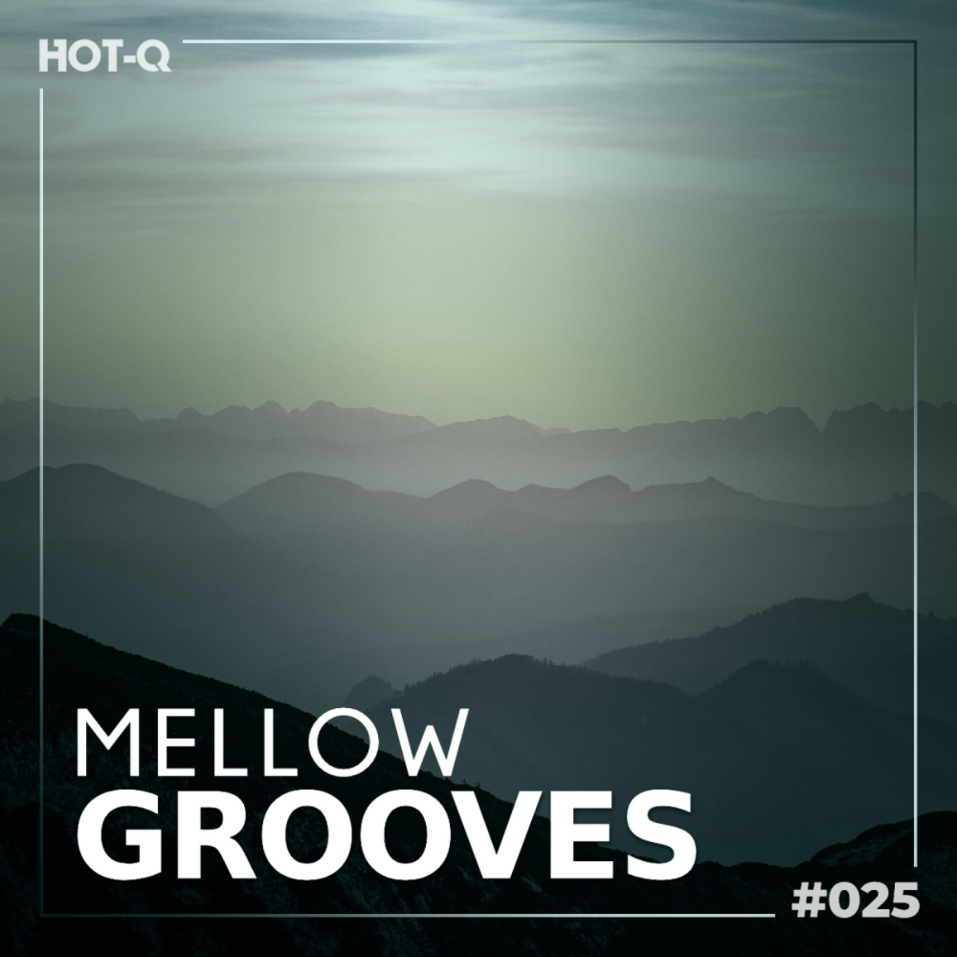 Постер альбома Mellow Grooves 025