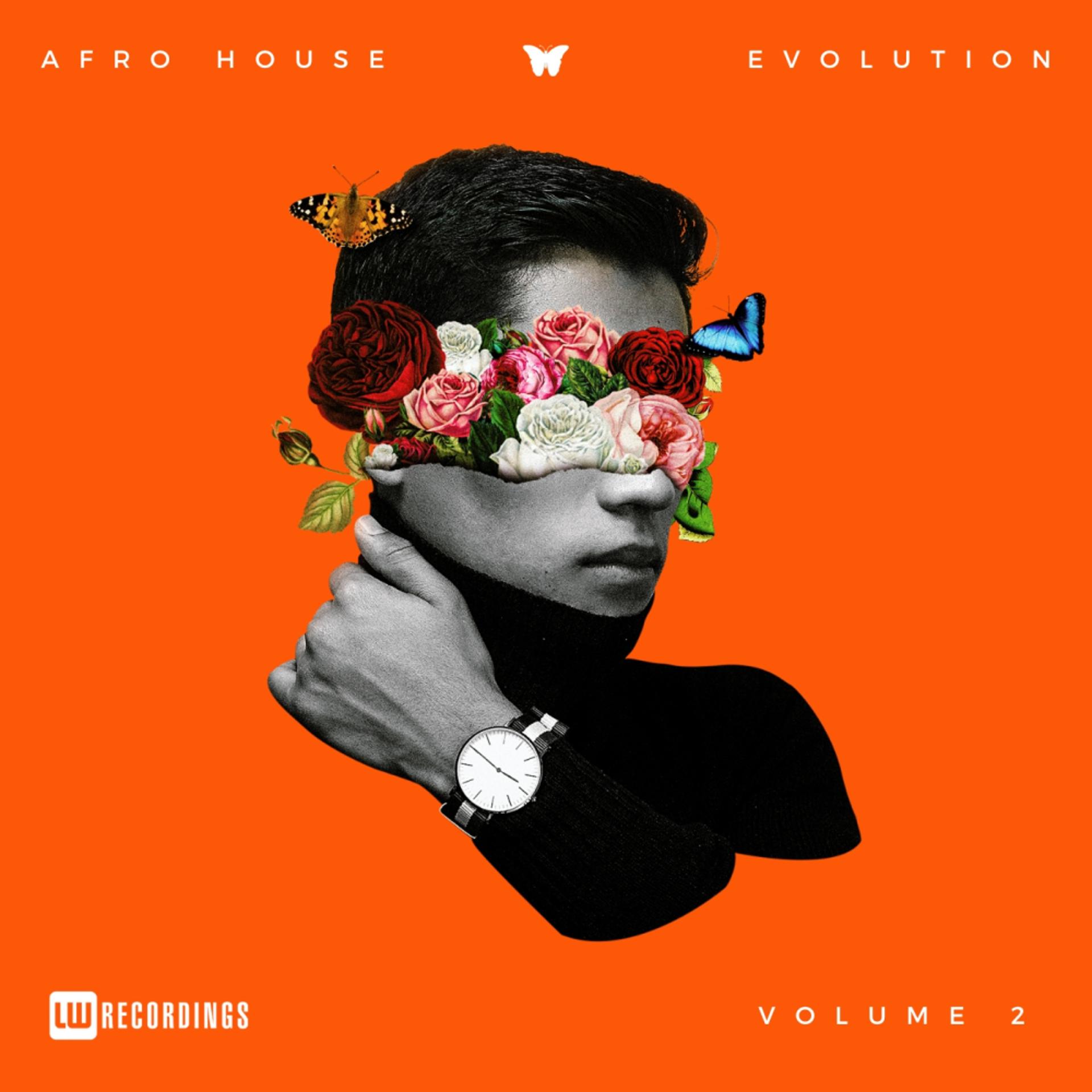 Постер альбома Afro House Evolution, Vol. 02