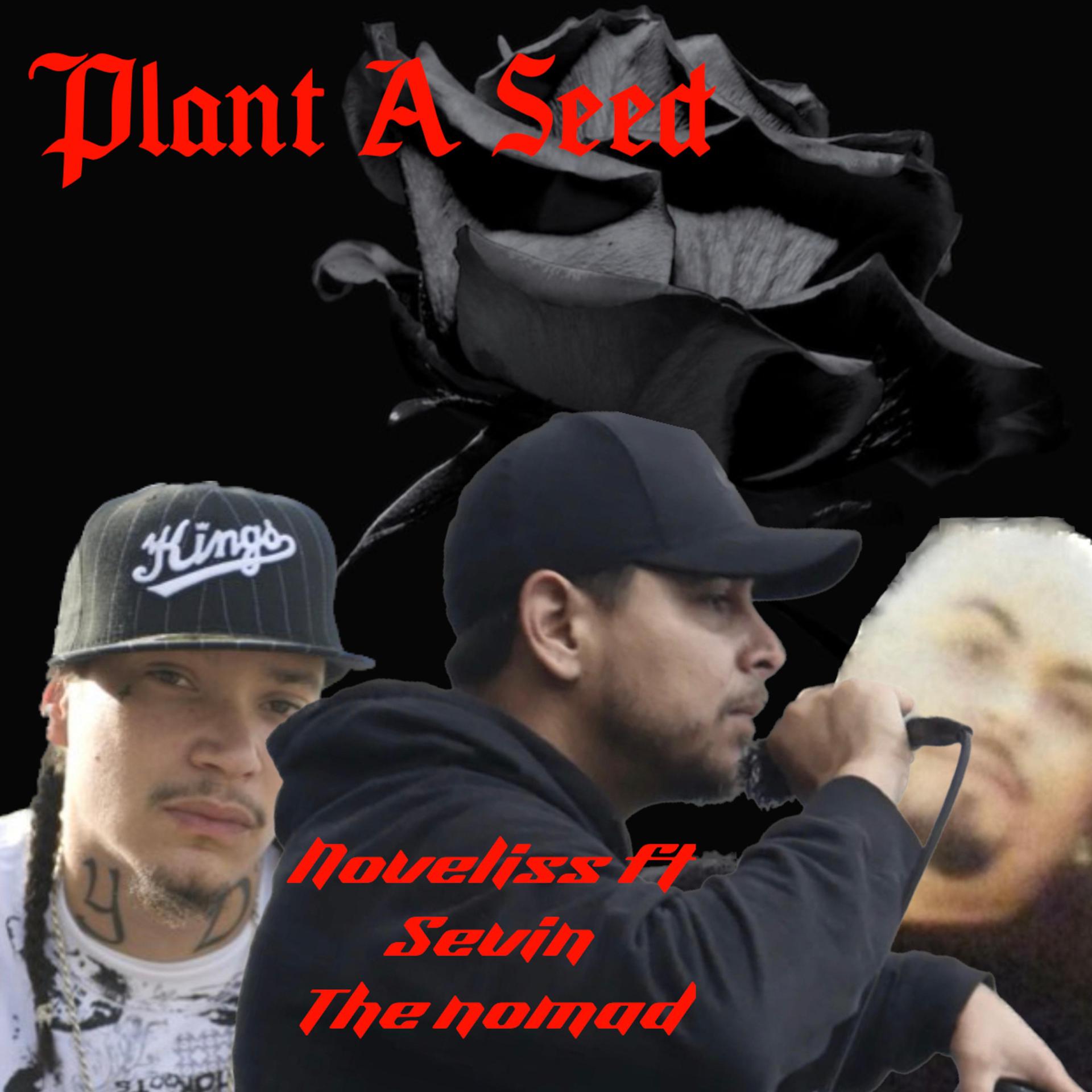 Постер альбома Plant a seed (feat. sevin & the nomad)