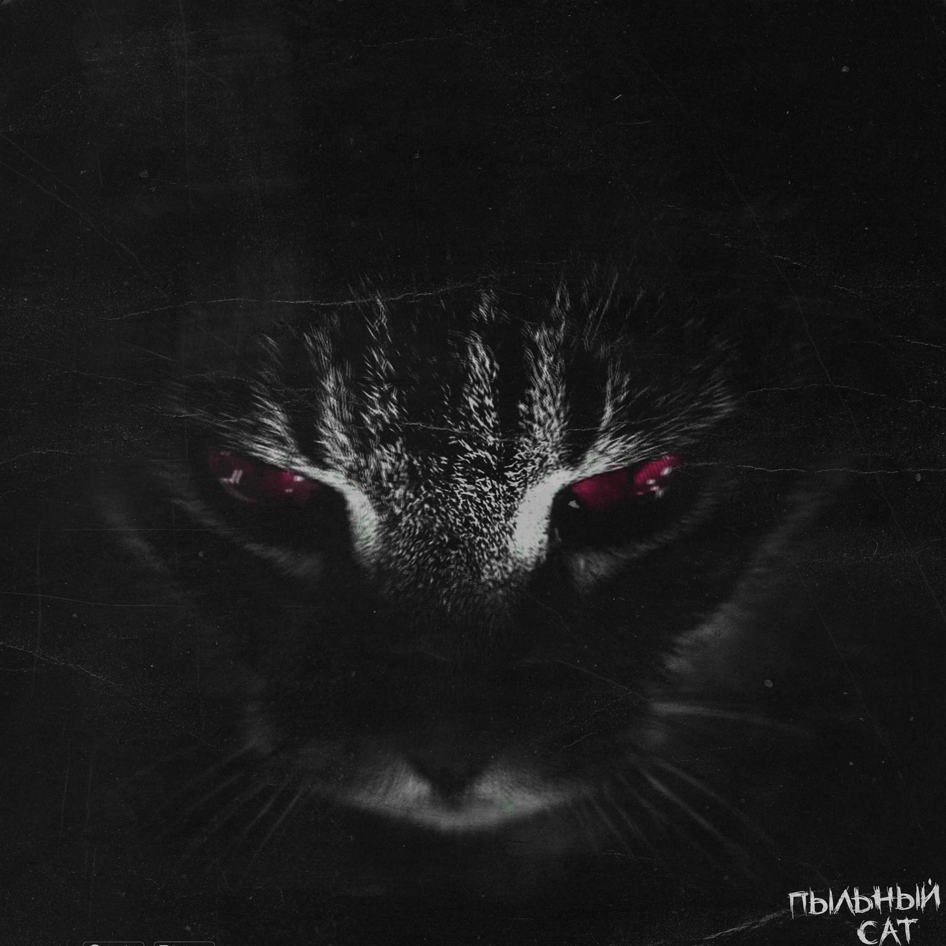 Постер альбома Cat