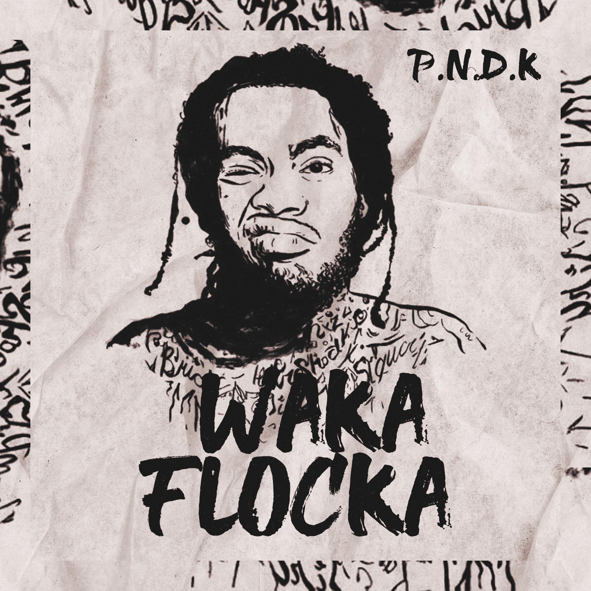 Постер альбома Waka Flocka