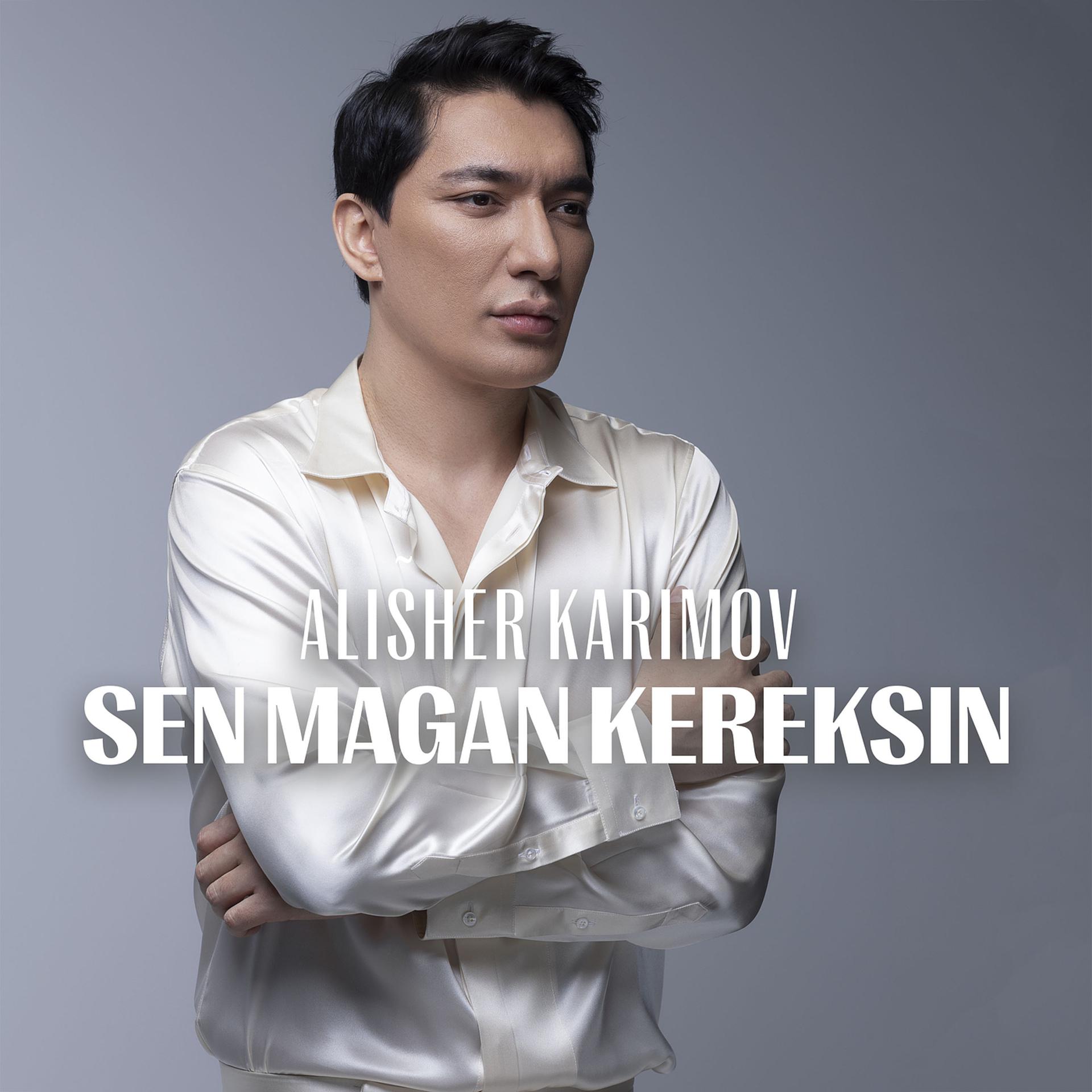 Постер альбома Sen Magan Kereksin