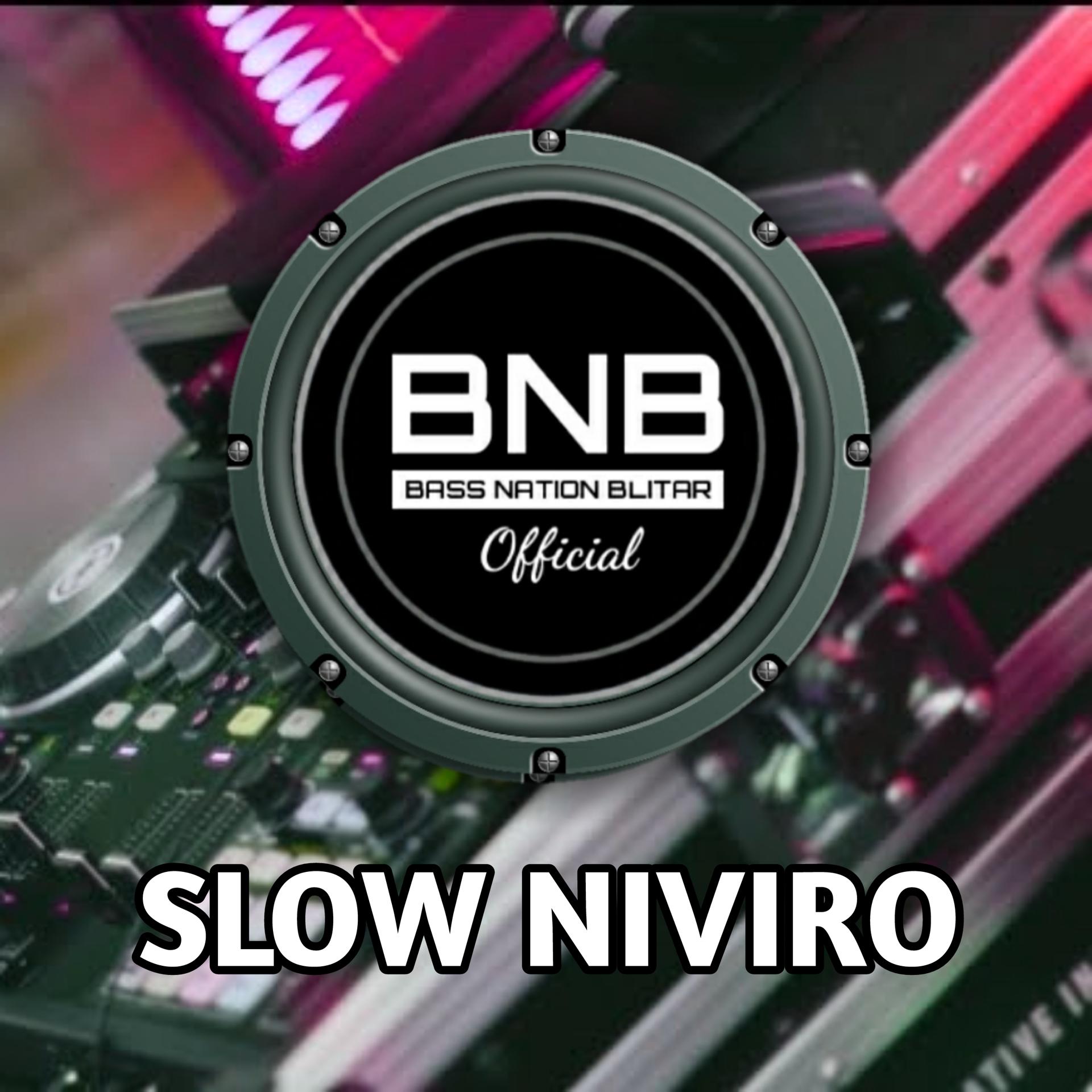 Постер альбома Slow Niviro