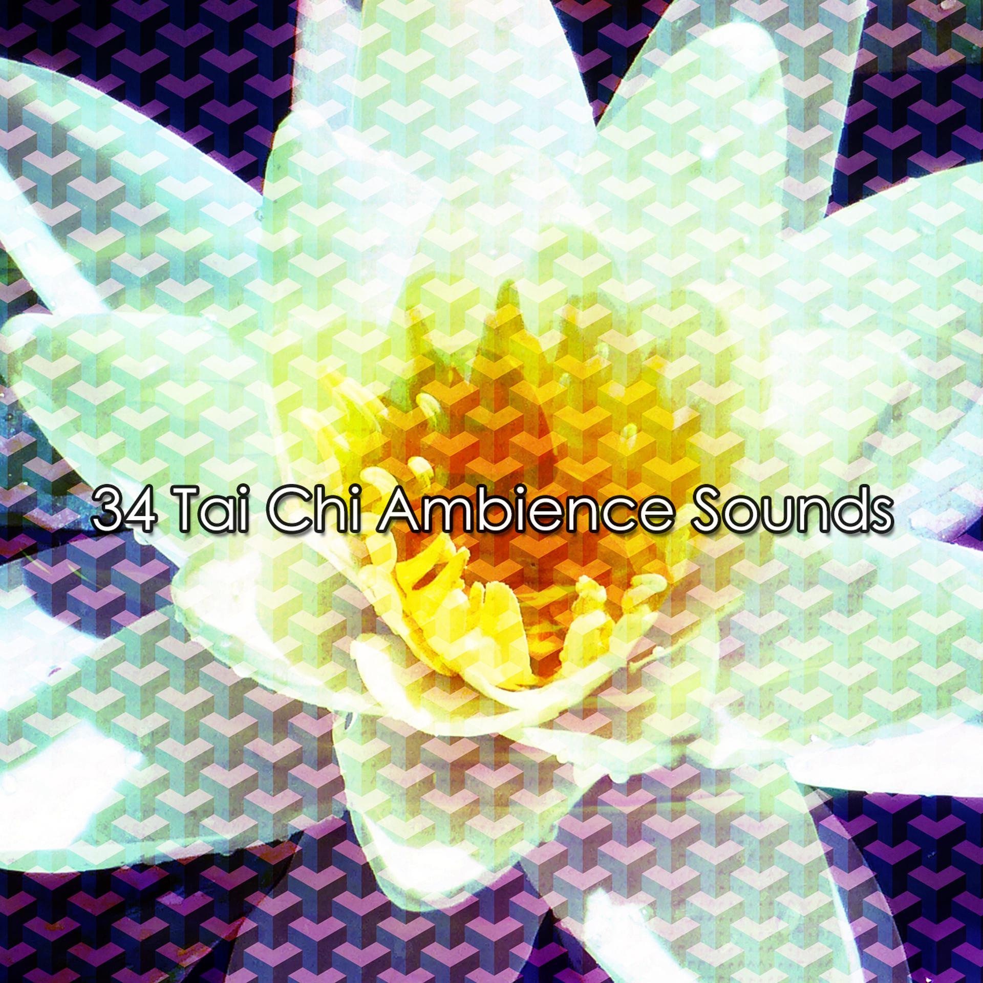 Постер альбома 34 Tai Chi Ambience Sounds