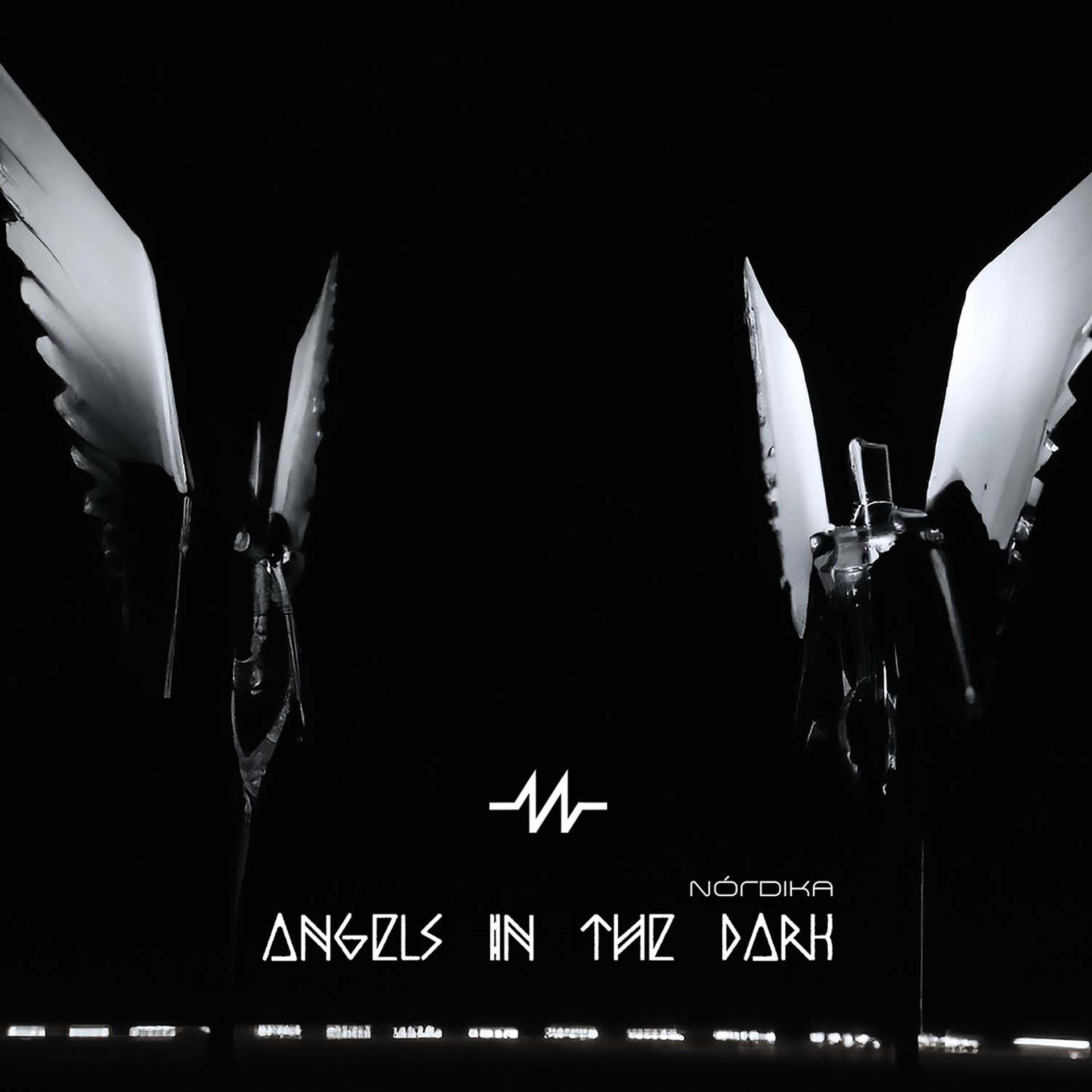 Постер альбома Angels in the Dark