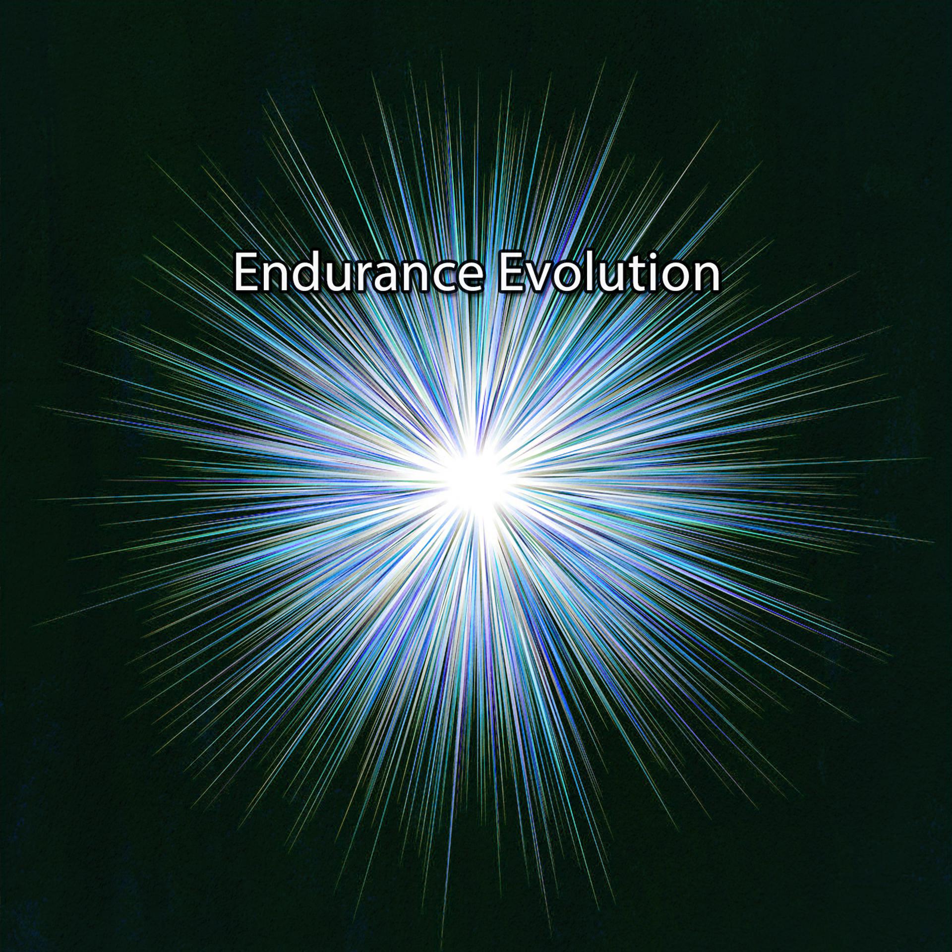 Постер альбома Endurance Evolution