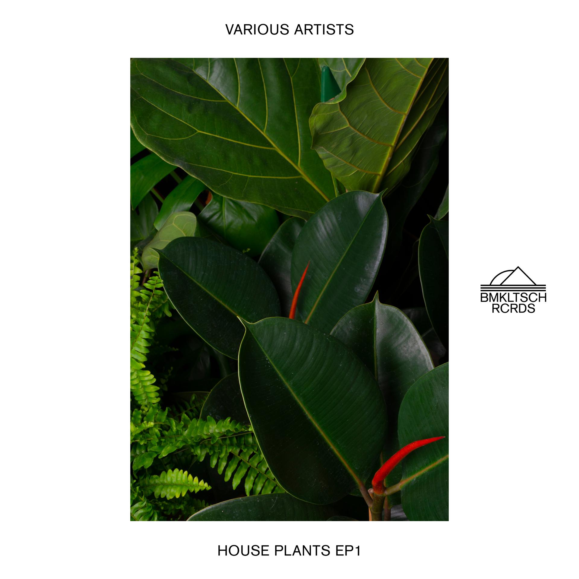 Постер альбома House Plants 1 - EP