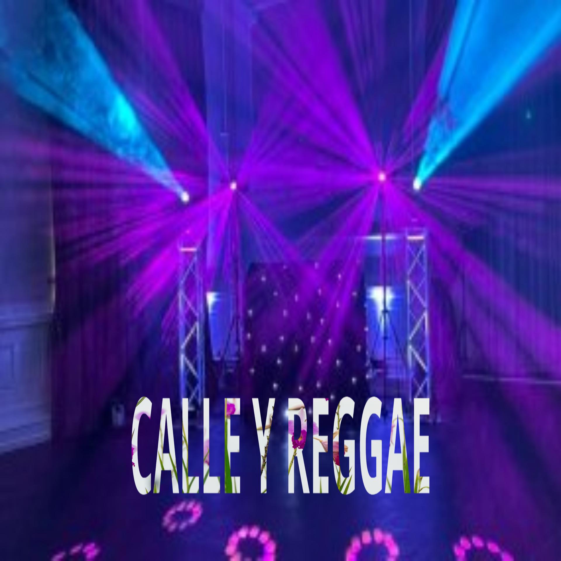 Постер альбома Calle y Reggae