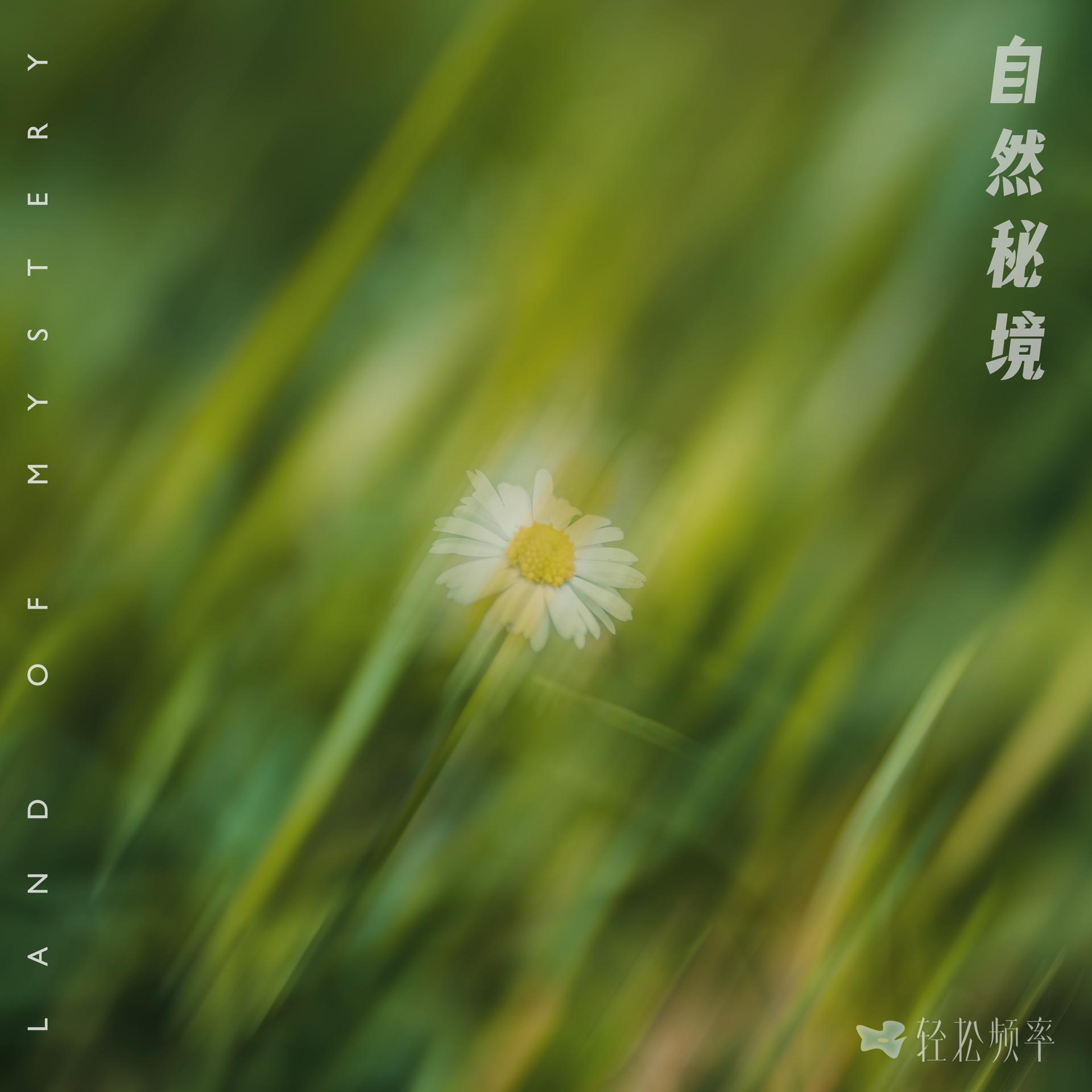 Постер альбома 自然秘境