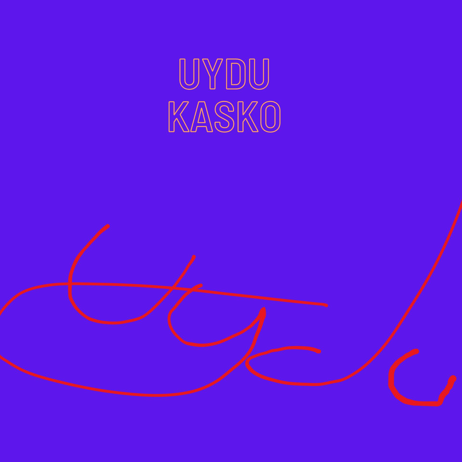 Постер альбома Uydu