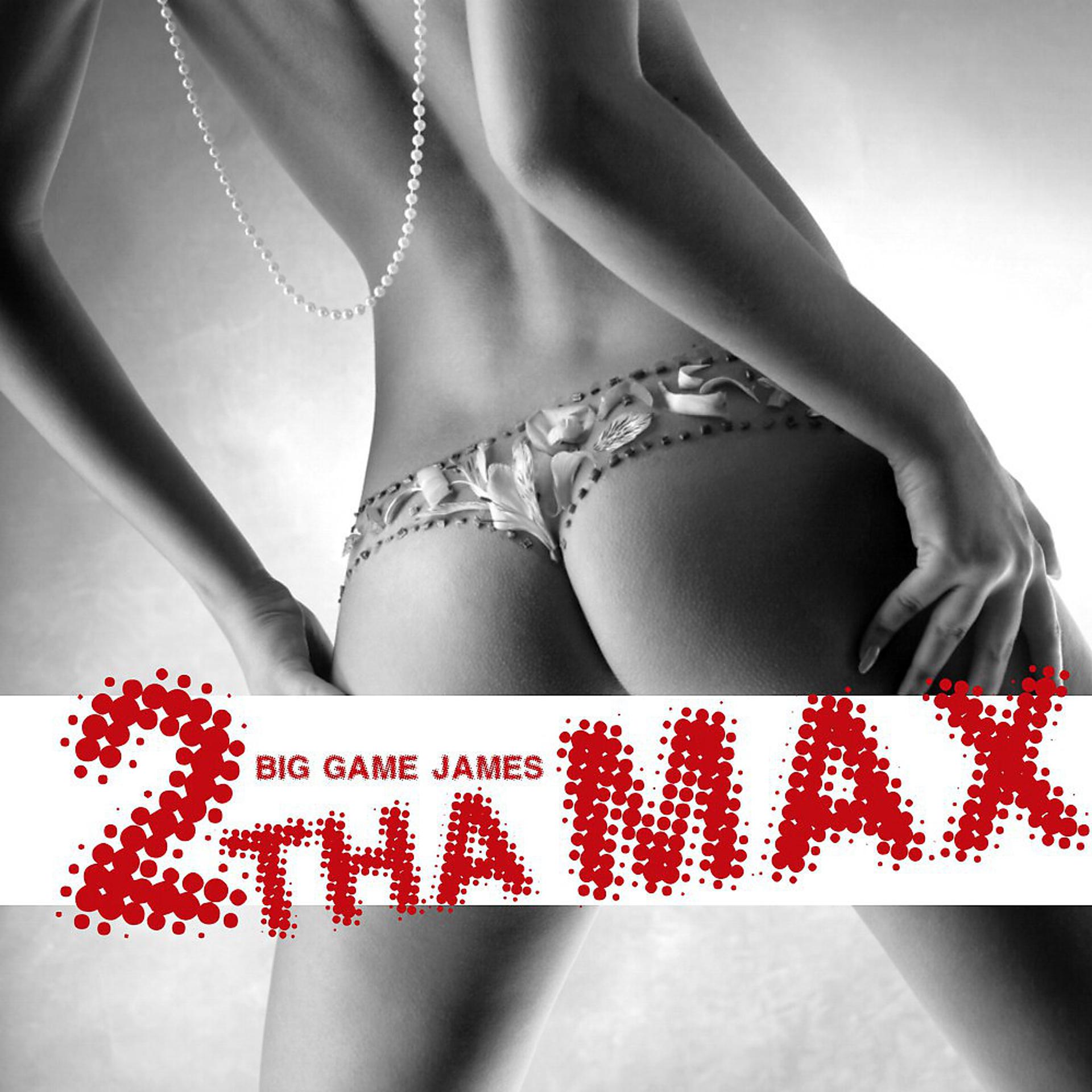 Постер альбома 2 Tha Max