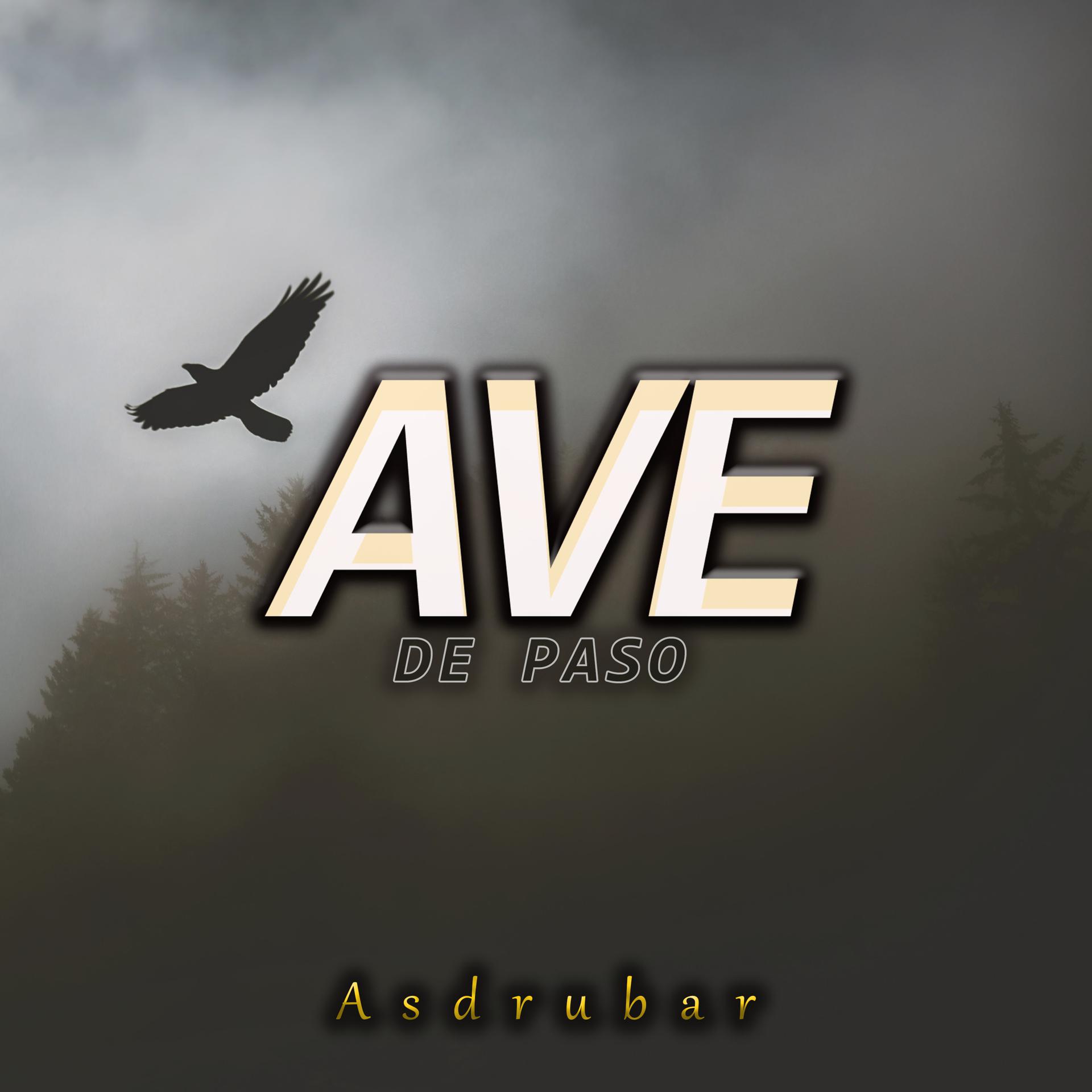 Постер альбома Ave de Paso