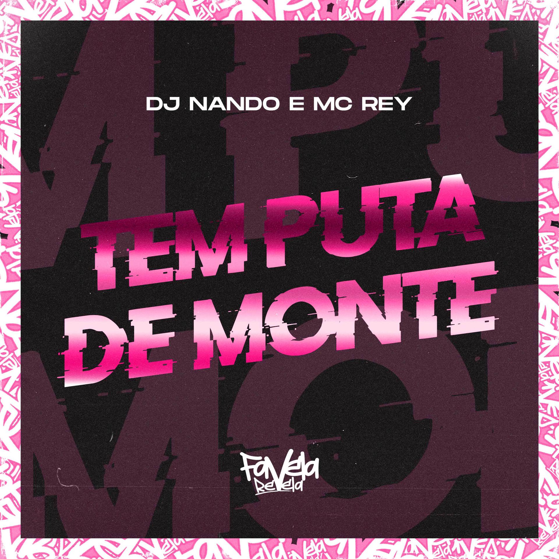 Постер альбома Tem Puta de Monte