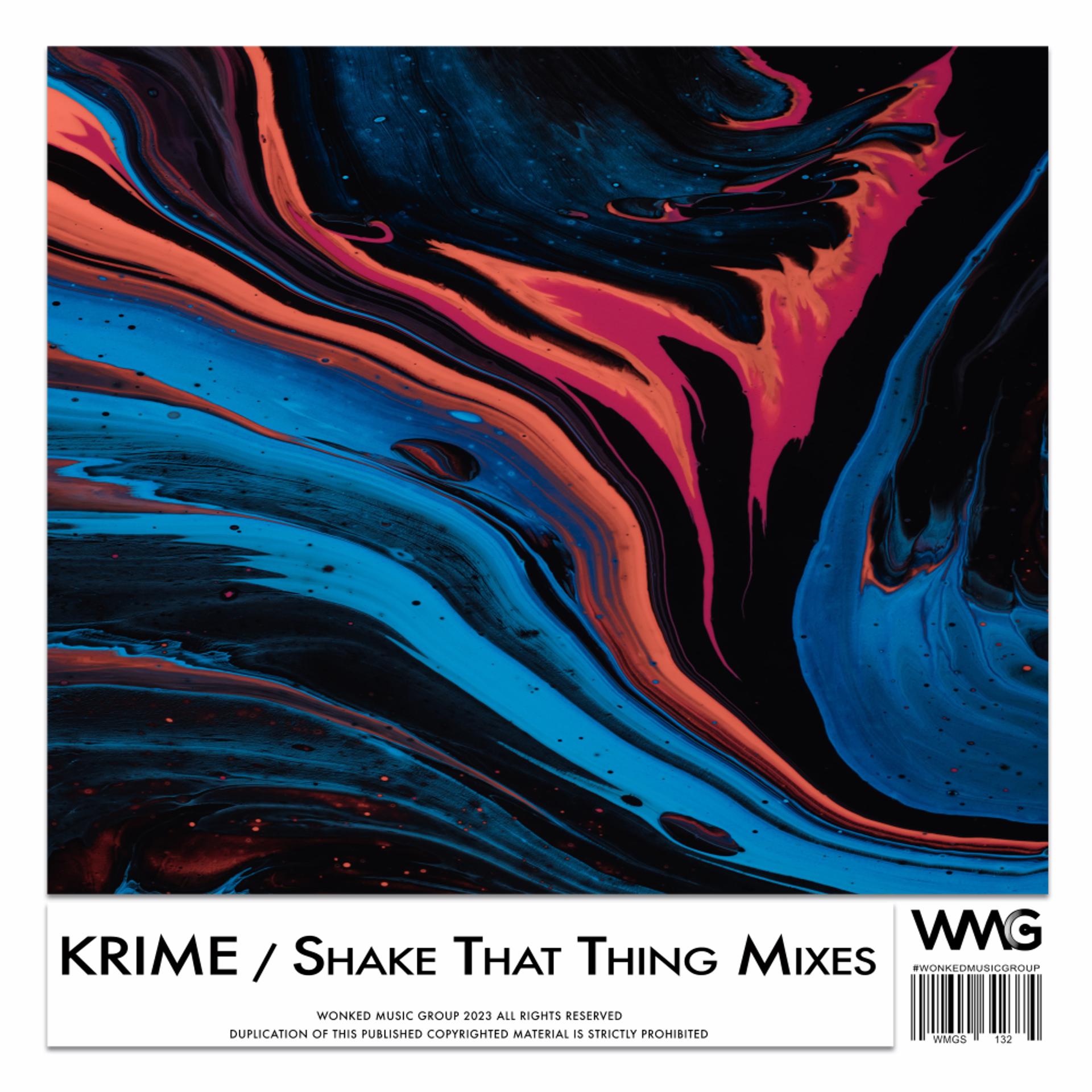 Постер альбома Shake That Thing Mixes
