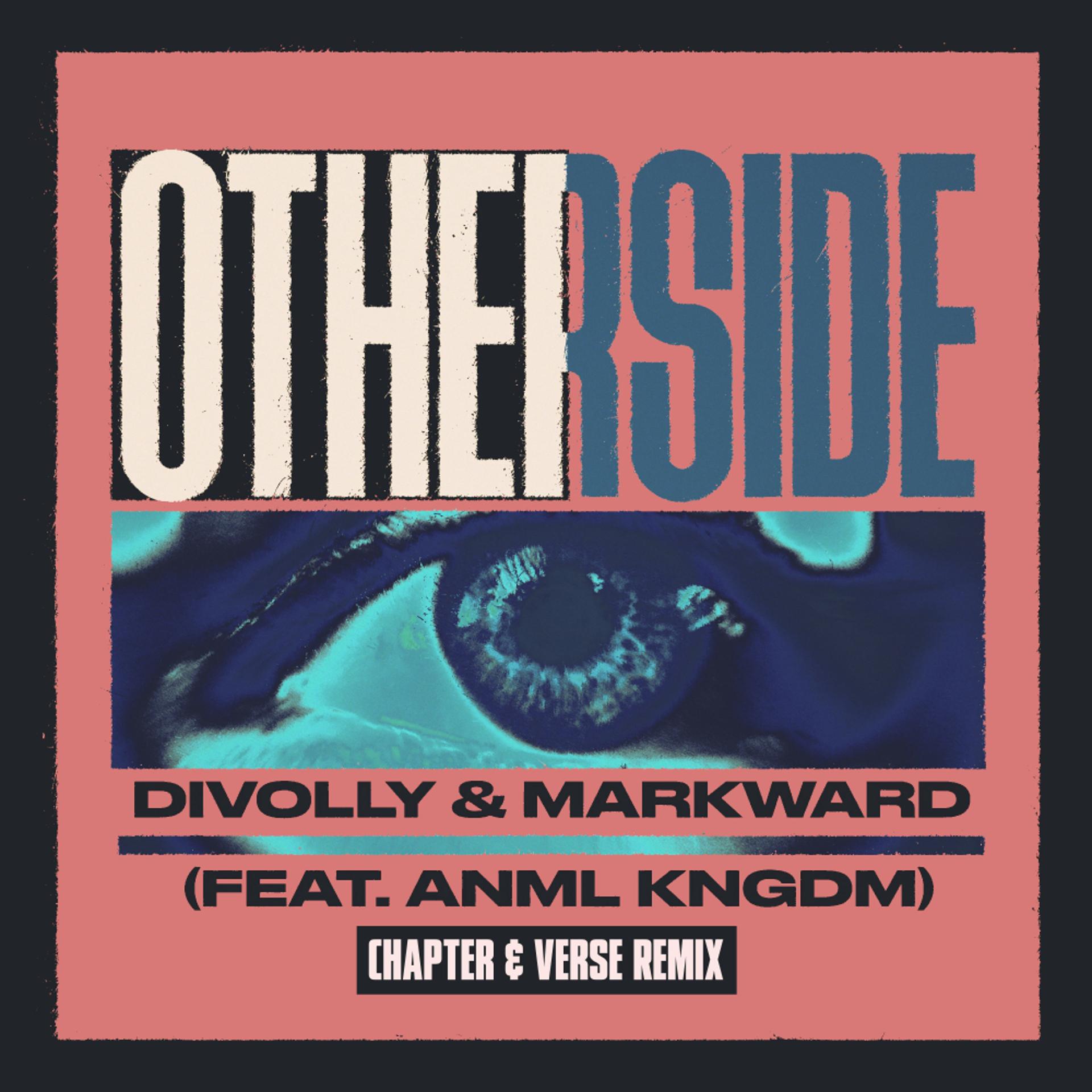 Постер альбома Otherside (feat. ANML KNGDM)
