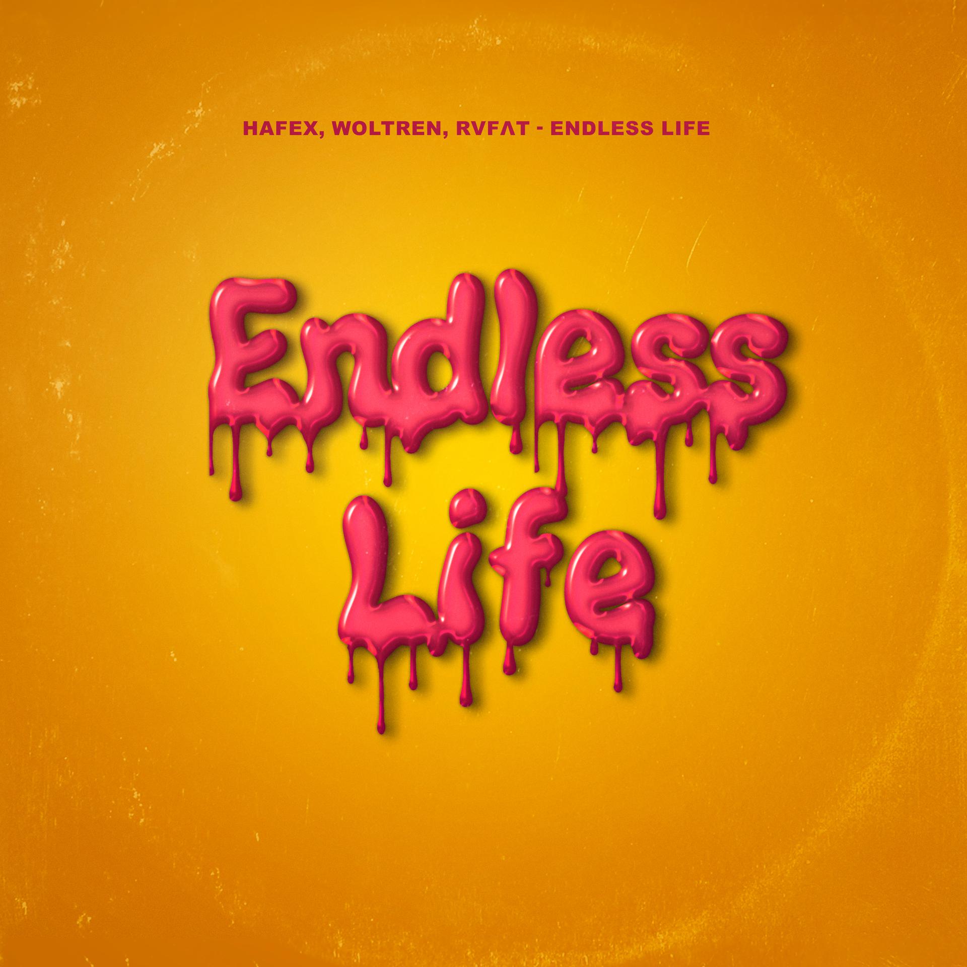 Постер альбома Endless Life