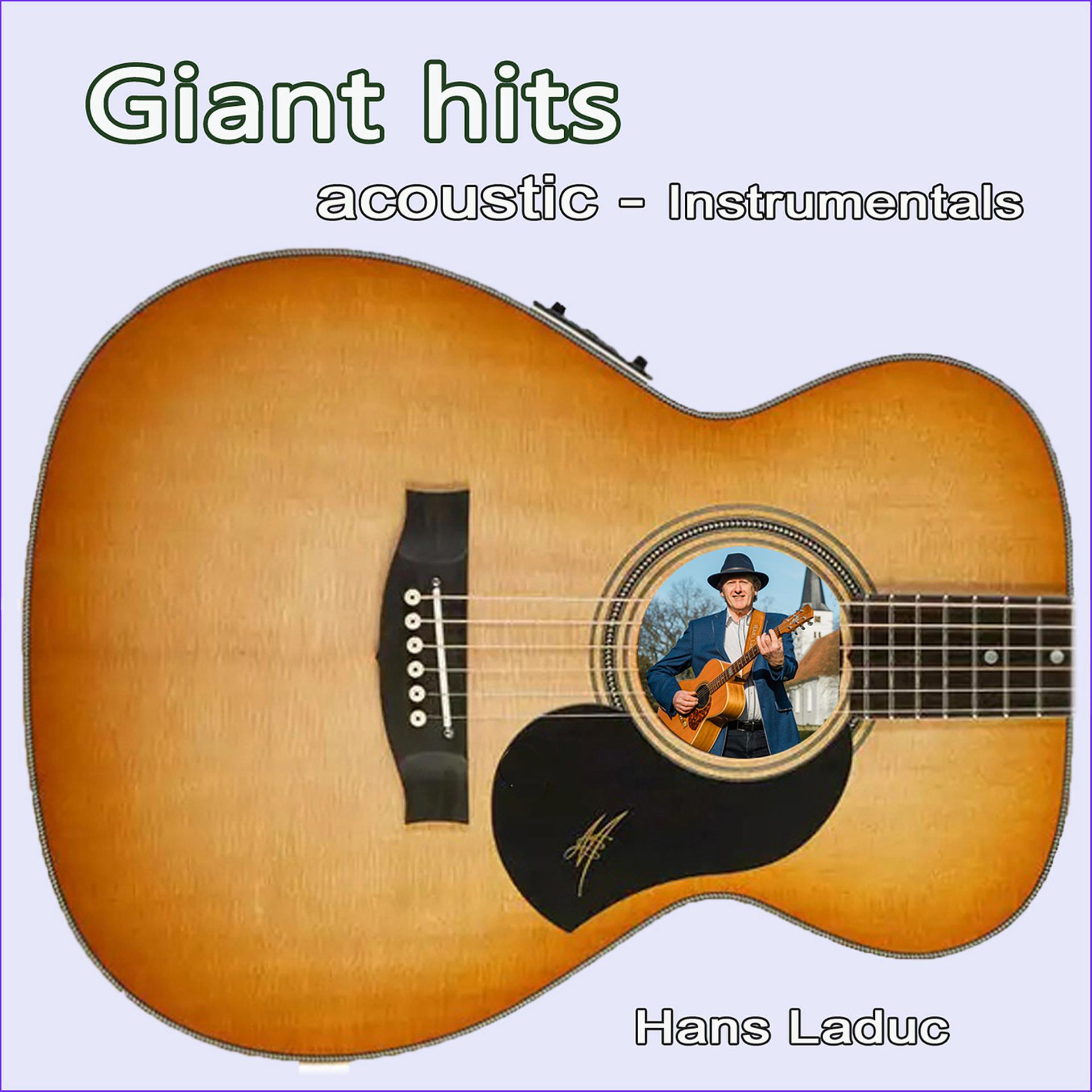 Постер альбома Giant Hits - Acoustic Instrumentals