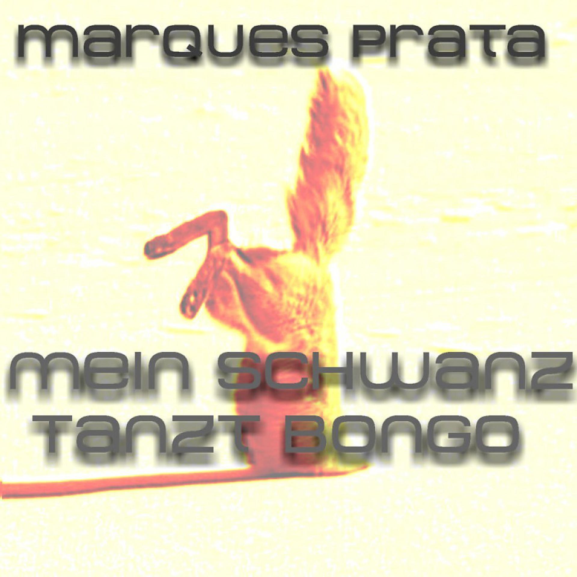 Постер альбома Mein Schwanz Tanzt Bongo