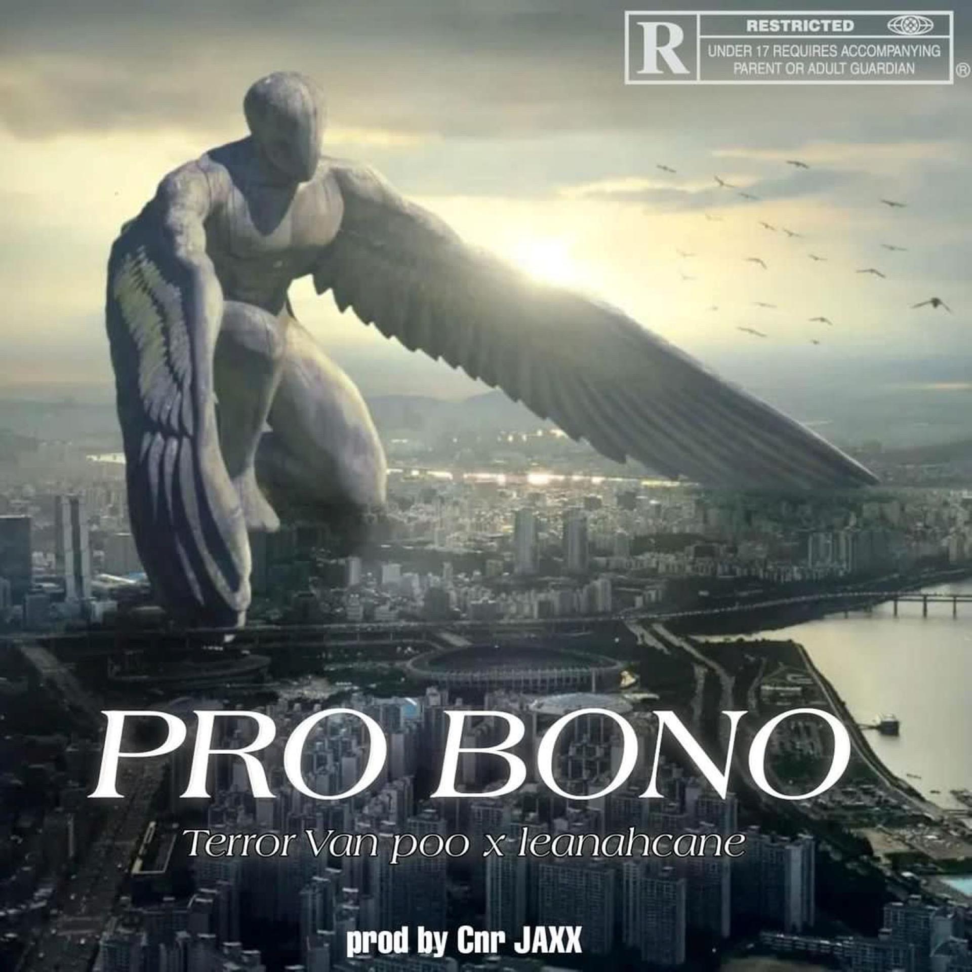 Постер альбома Pro Bono
