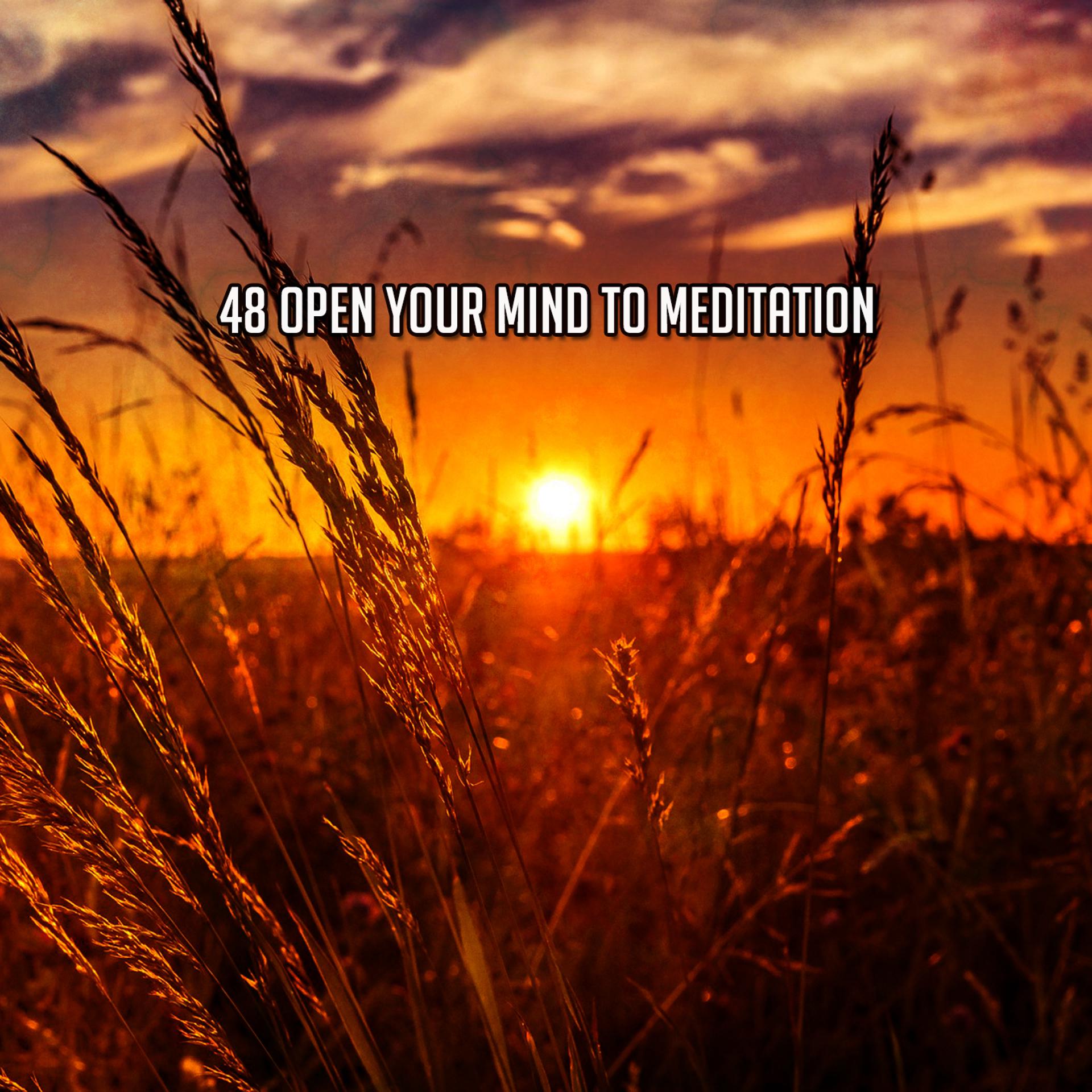 Постер альбома 48 Open Your Mind To Meditation