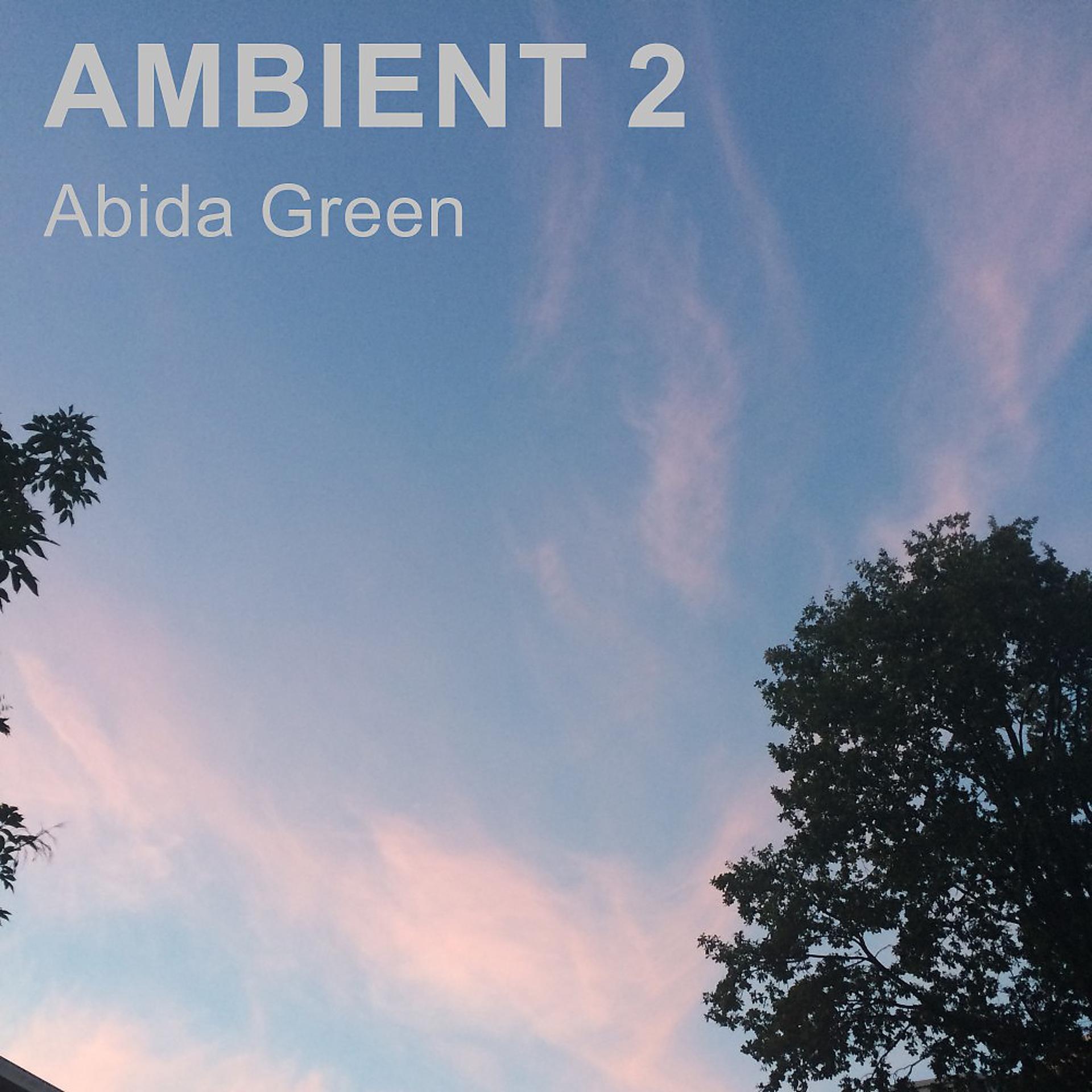 Постер альбома Ambient 2