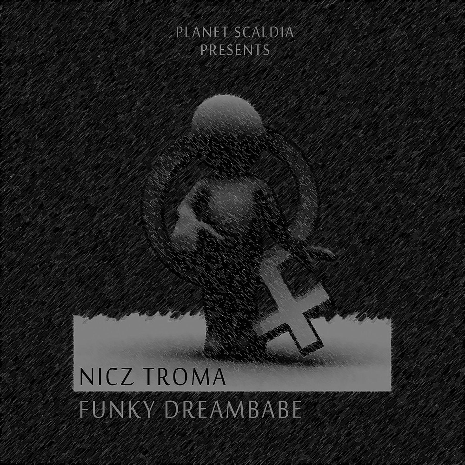 Постер альбома Funky Dreambabe