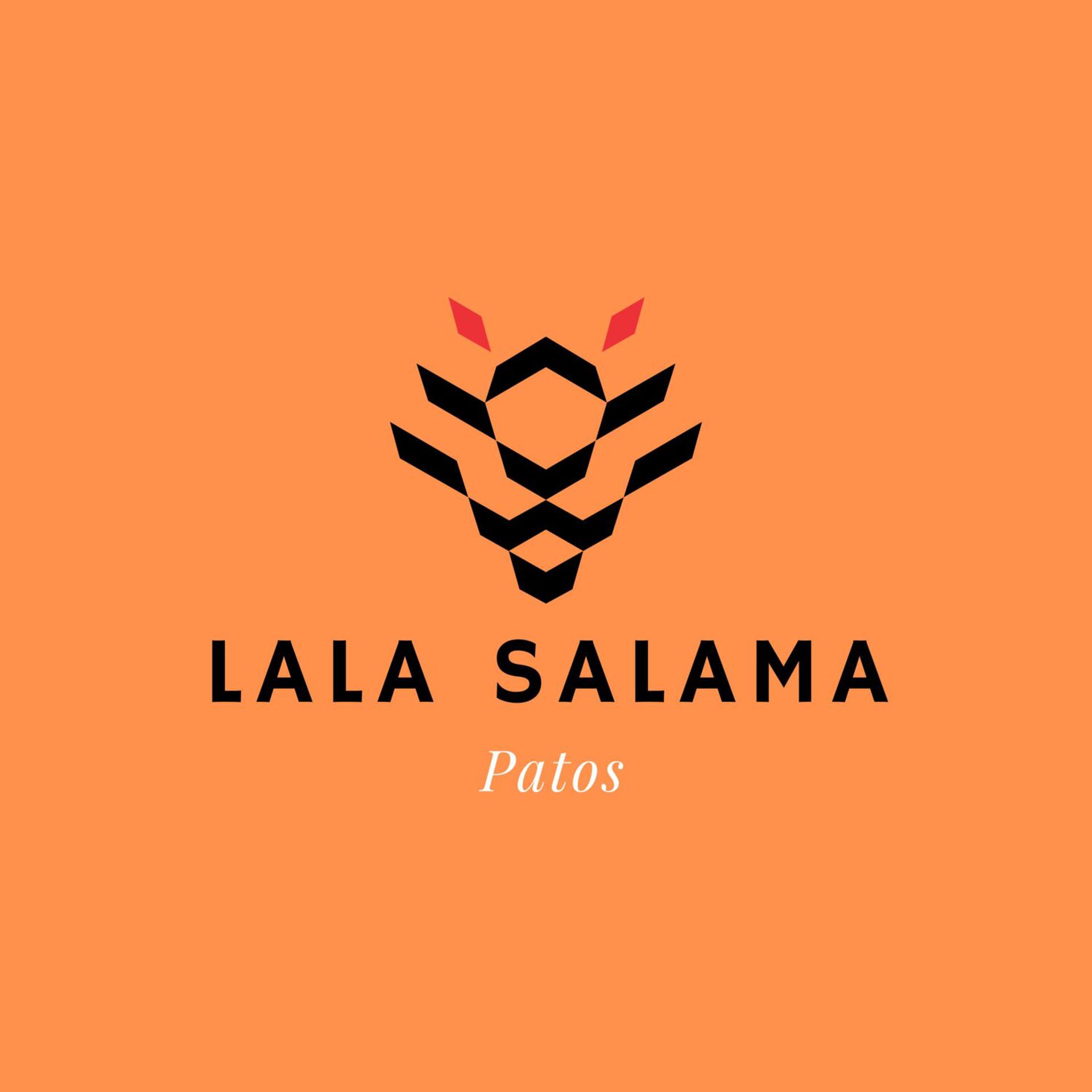 Постер альбома Lala Salama