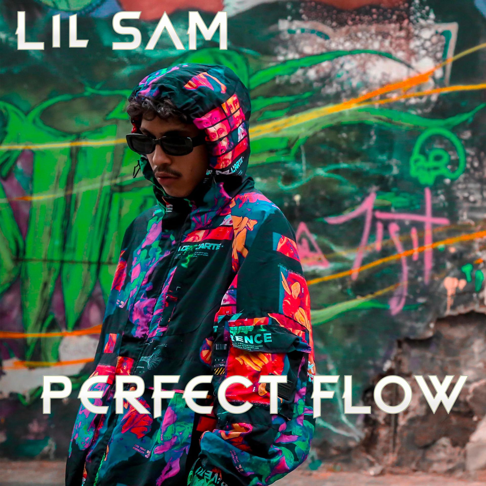 Постер альбома Perfect Flow