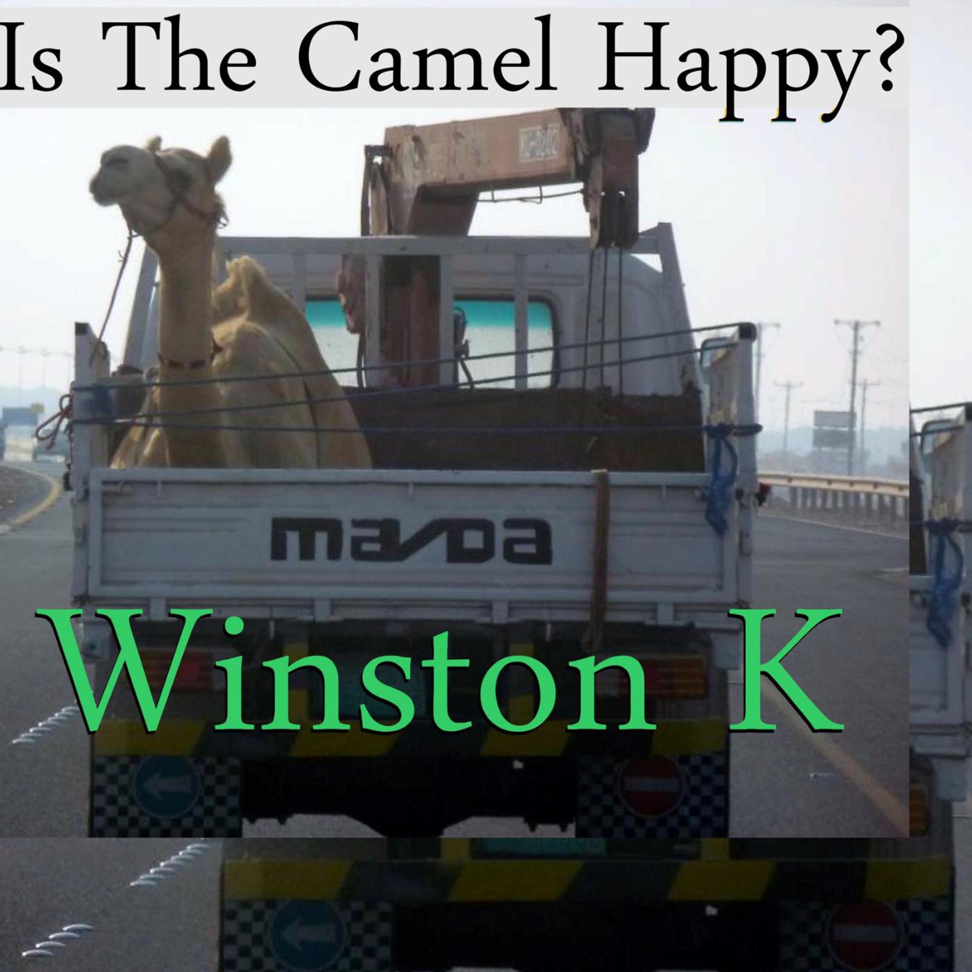 Постер альбома Is the Camel Happy?