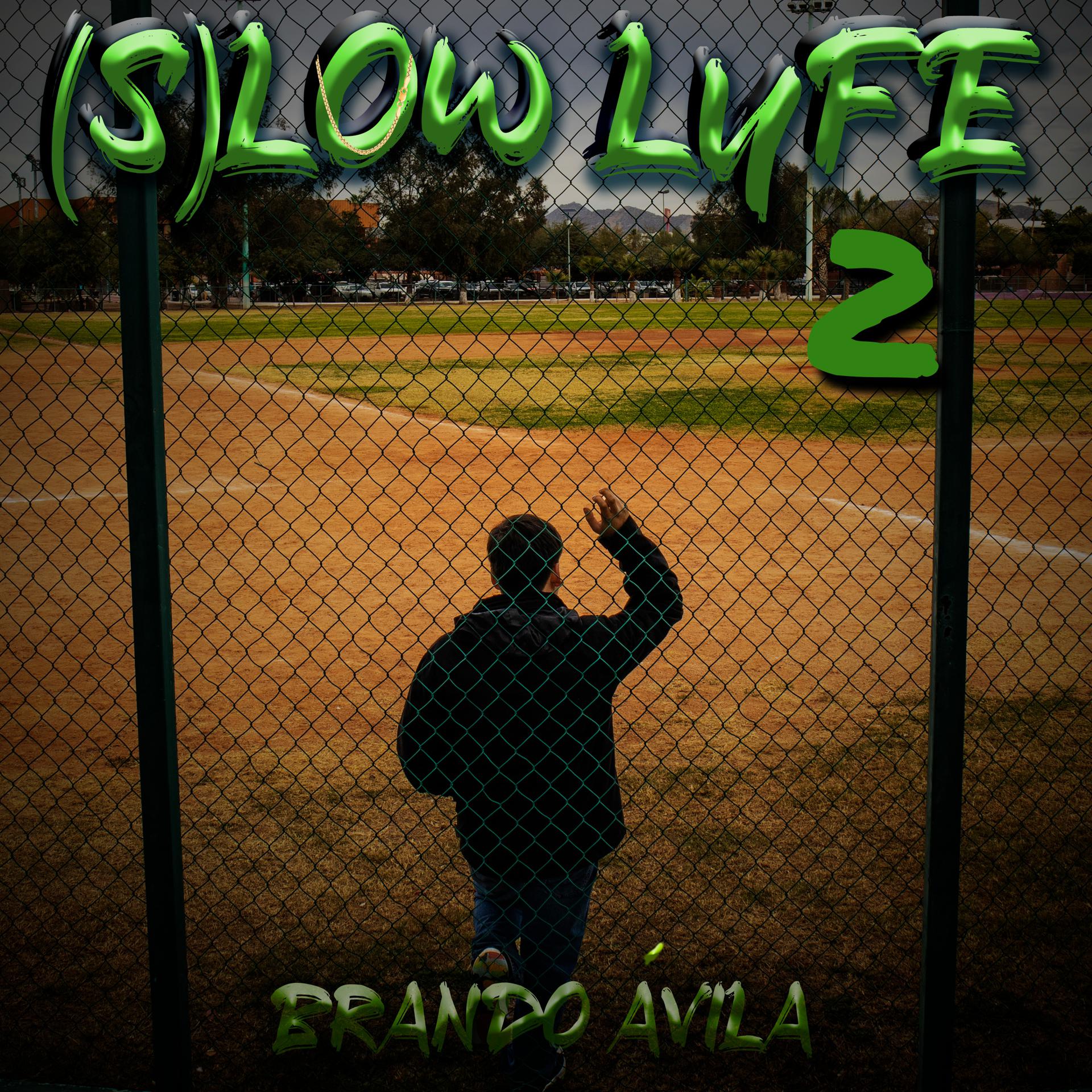 Постер альбома Slow Lyfe 2